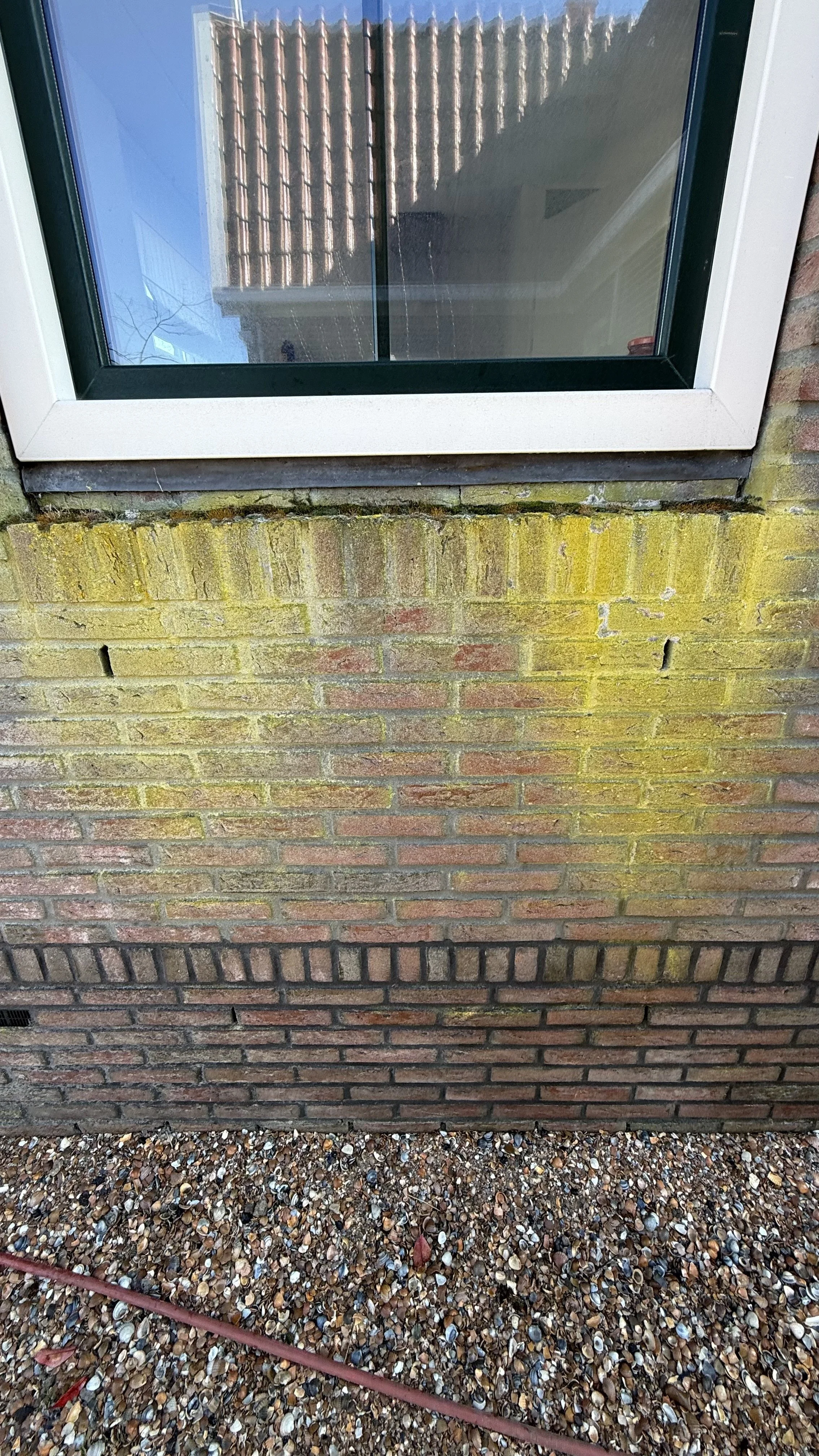 tempImageirhBG0.jpg