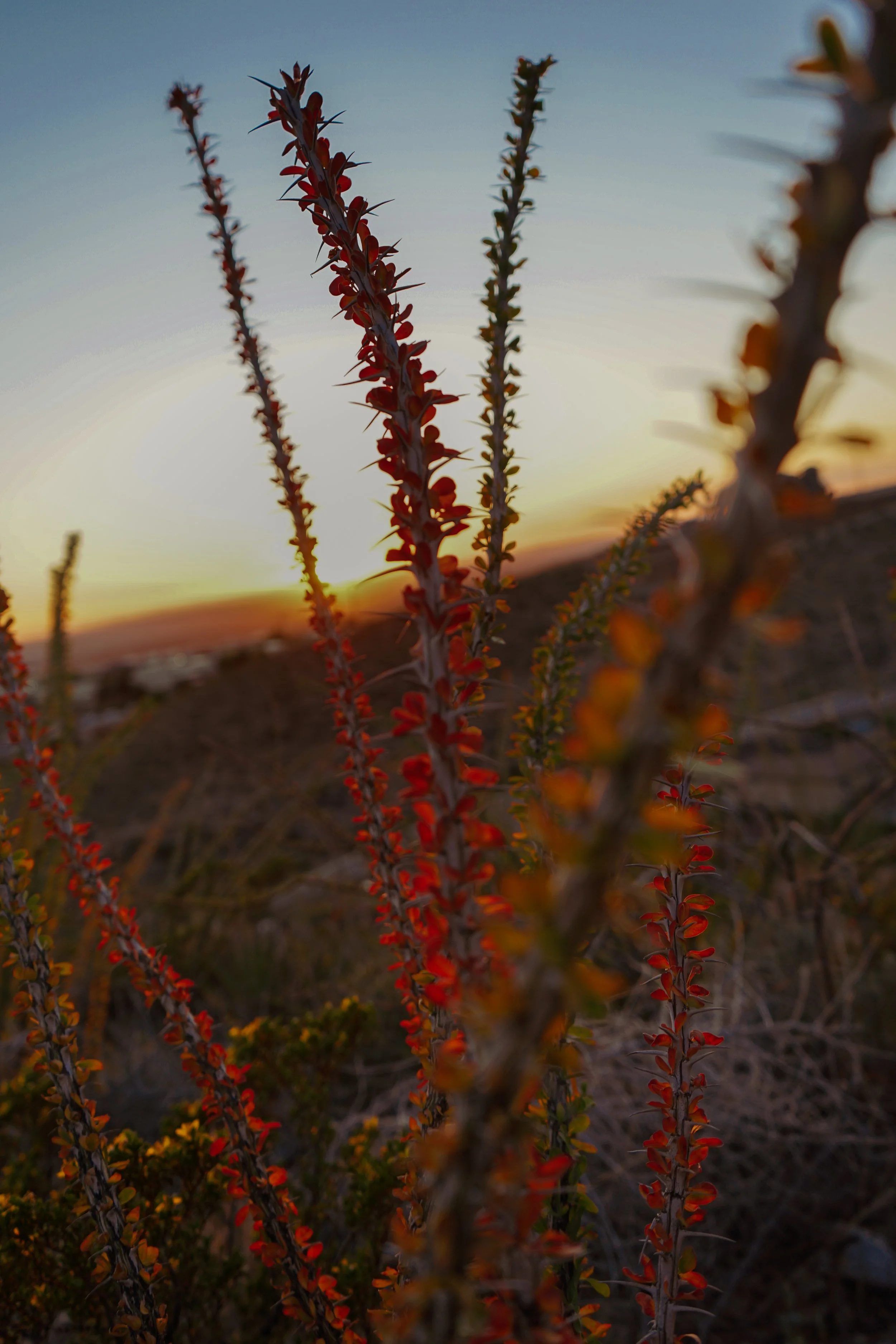 Franklin Mountains, El Paso