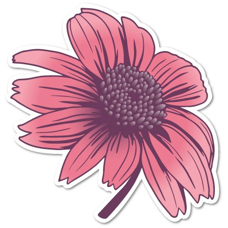 Echinacea Bloom Sticker