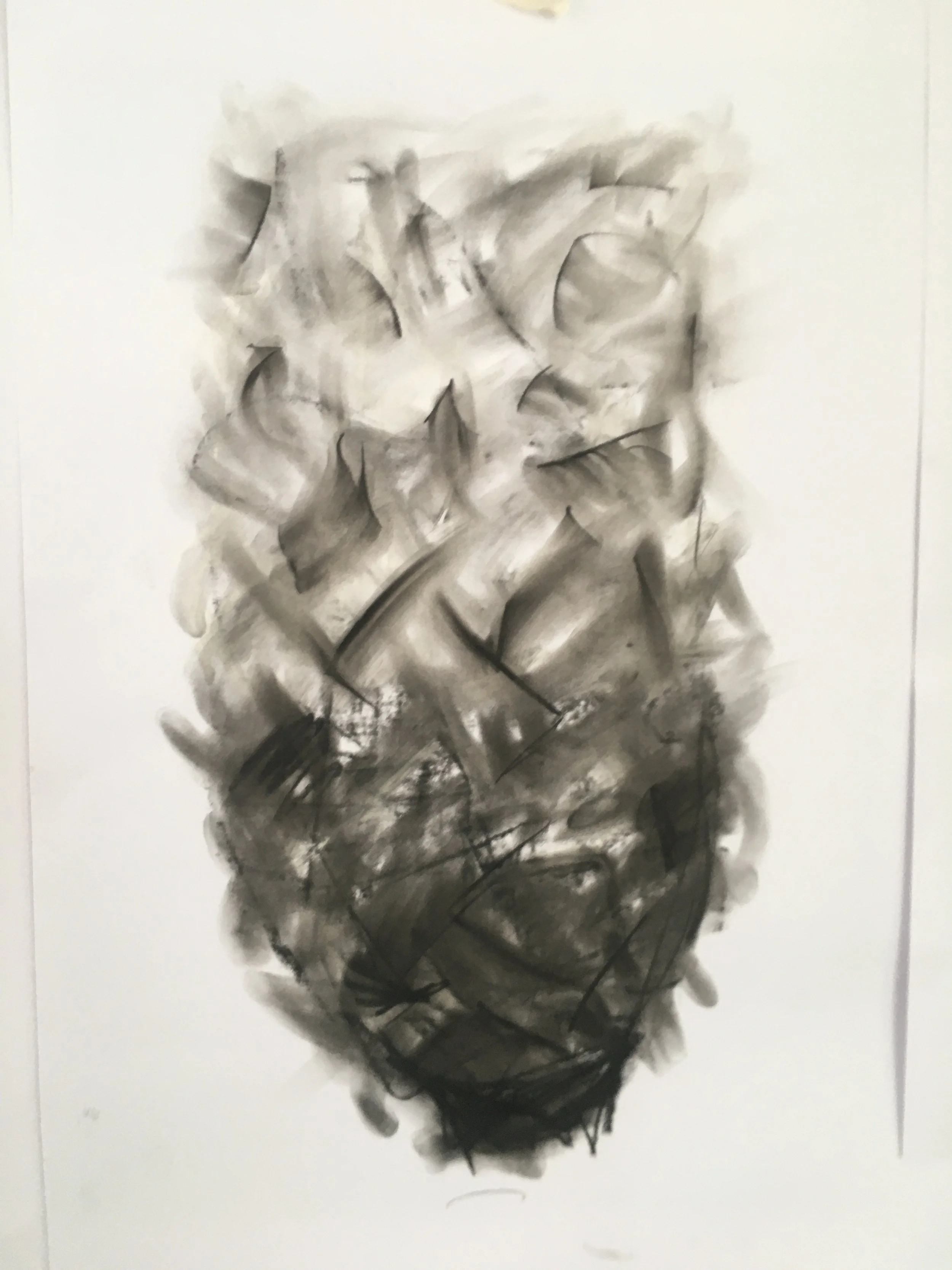 charchol 4.JPG