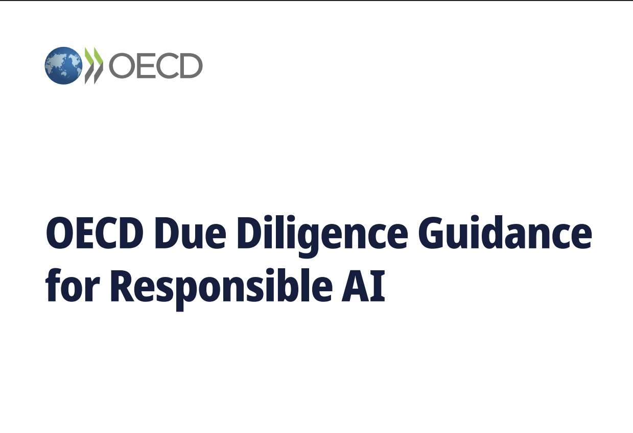 OECD_DueDiligenceGuidanceResponsibleAI.png