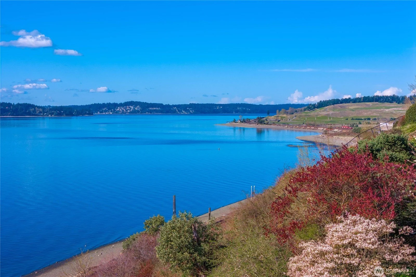 A scenic view of a large body of water, possibly a lake, with a clear blue sky, scattered white clouds, and distant hills. Vibrant pink and green bushes line the foreground along the shoreline.