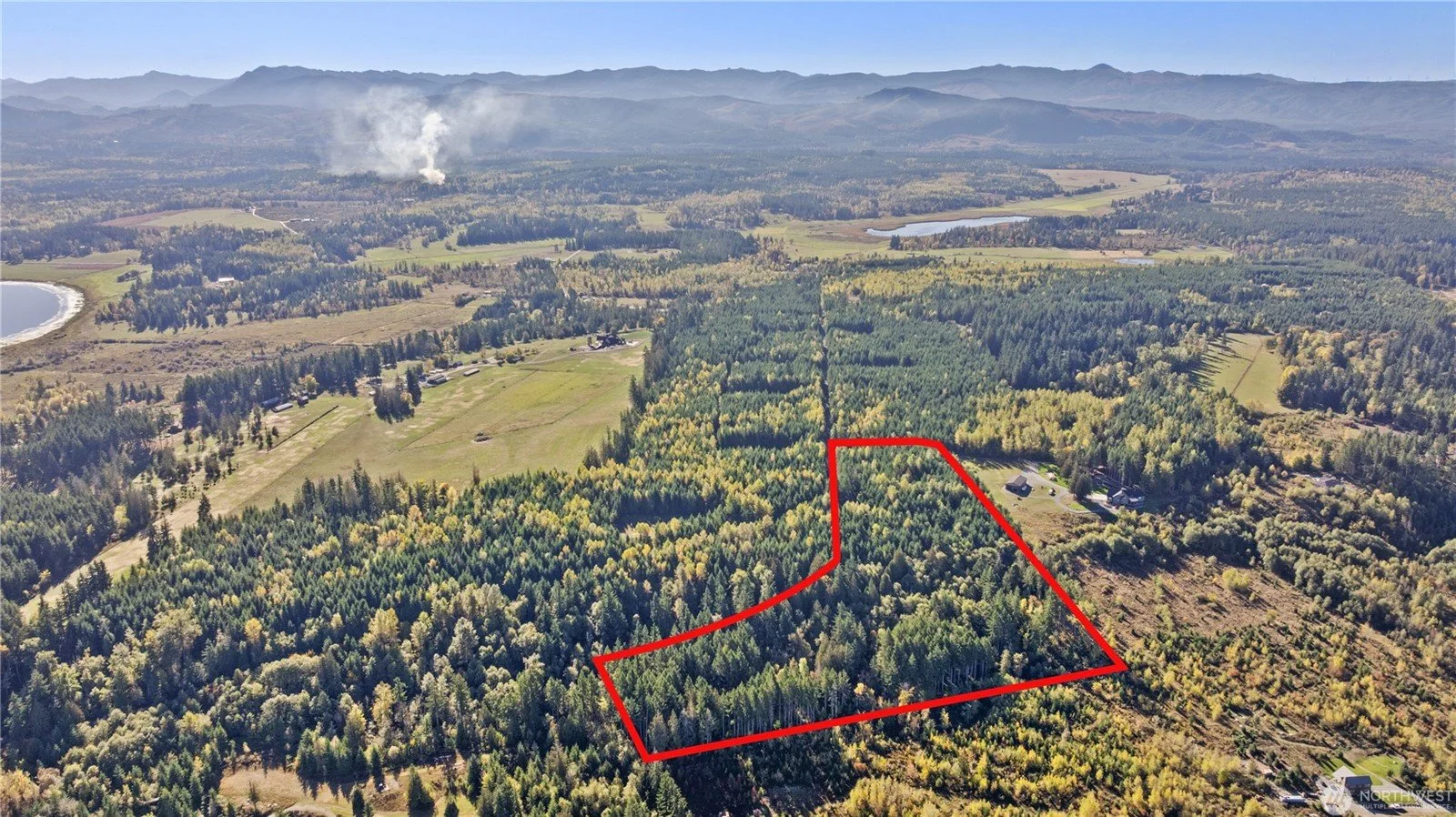 An aerial view of a forested landscape with a marked red boundary surrounding a section of trees, showing a mix of green and yellow foliage, open fields, and a few houses in the distance with mountains on the horizon.