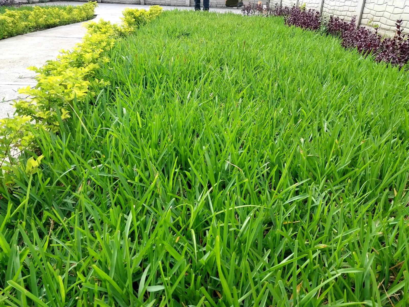 WhatsApp Image 2023-11-06 at 9.09.56 PM (1).jpeg