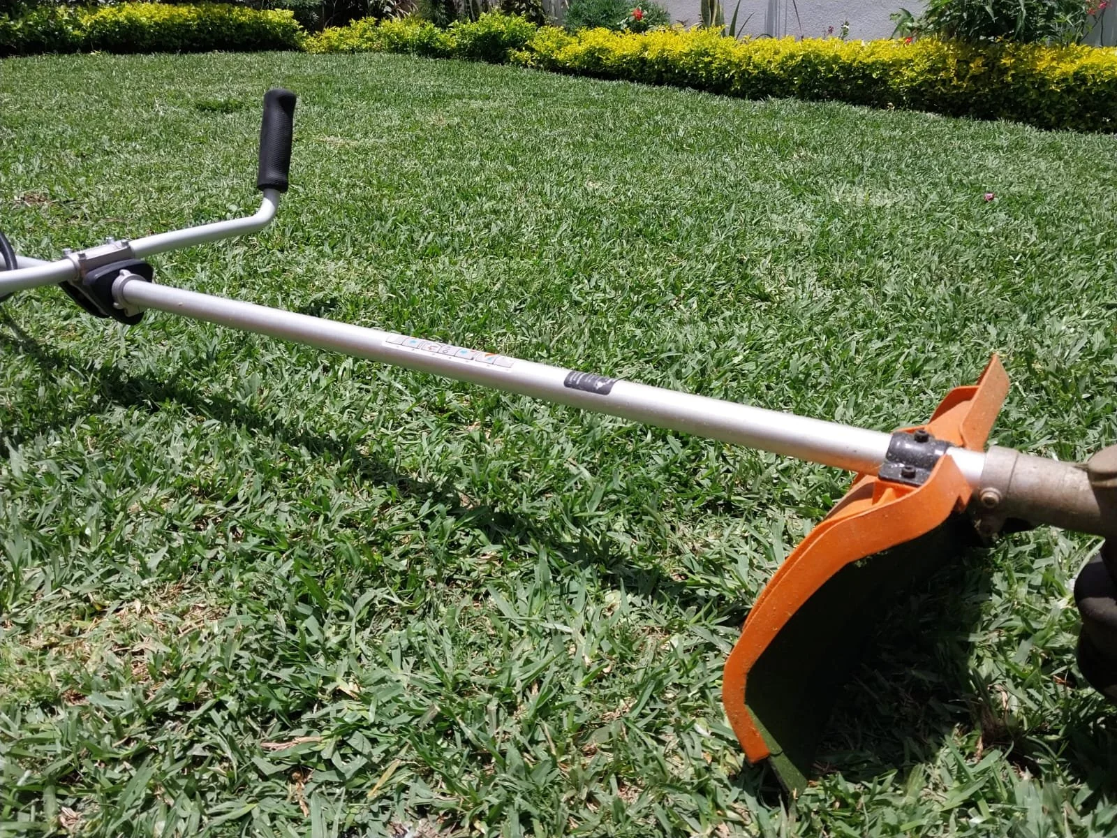 WhatsApp Image 2023-09-08 at 9.18.31 PM.jpeg