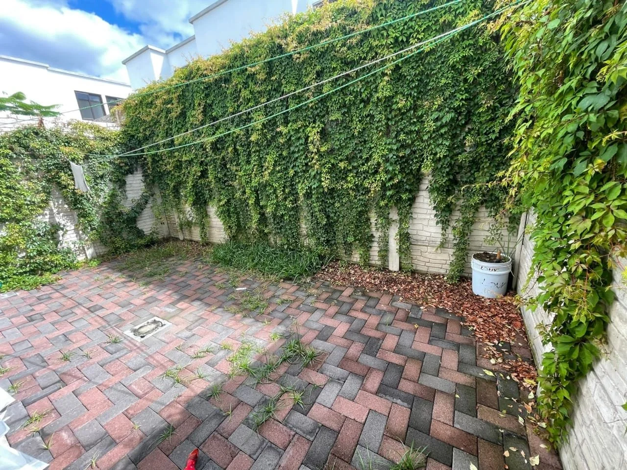 WhatsApp Image 2023-08-16 at 10.39.44 PM.jpeg