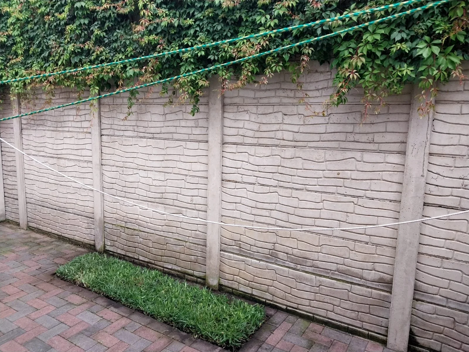 WhatsApp Image 2023-11-06 at 9.08.36 PM.jpeg