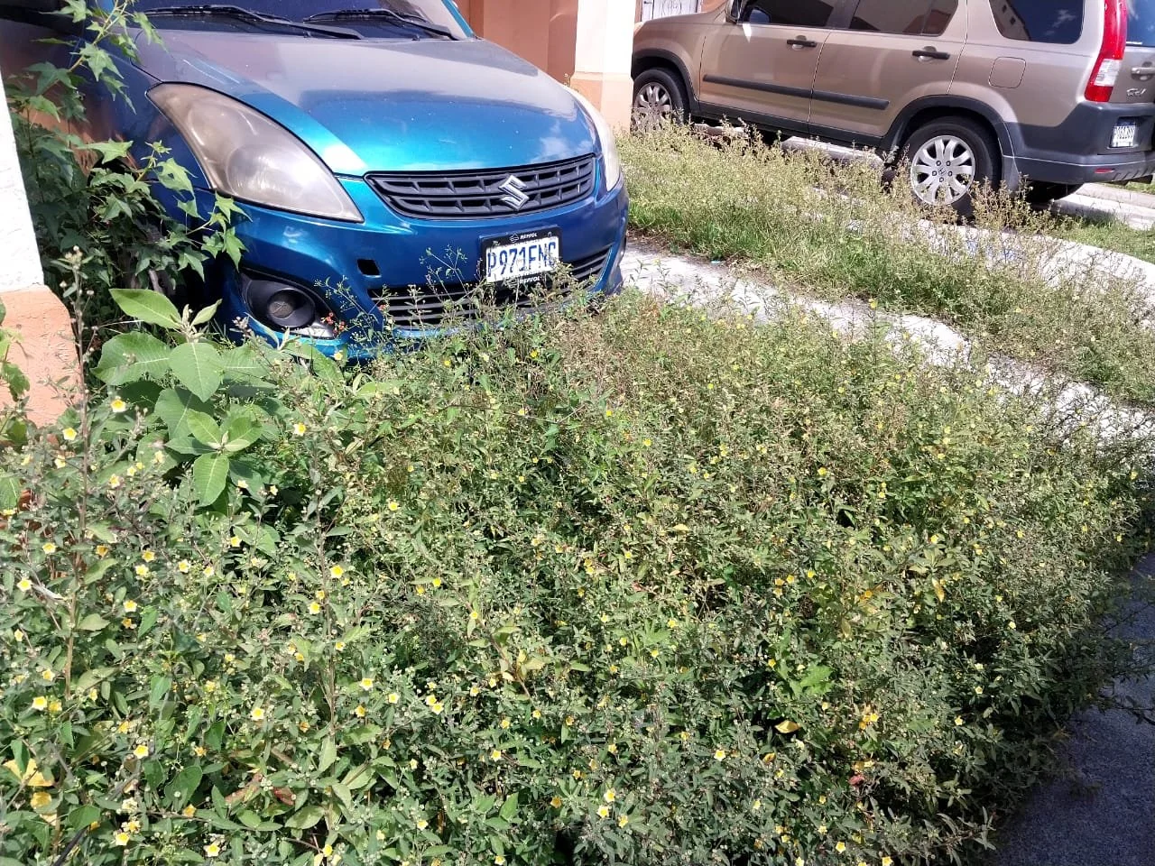 WhatsApp Image 2023-11-23 at 10.48.10 PM.jpeg