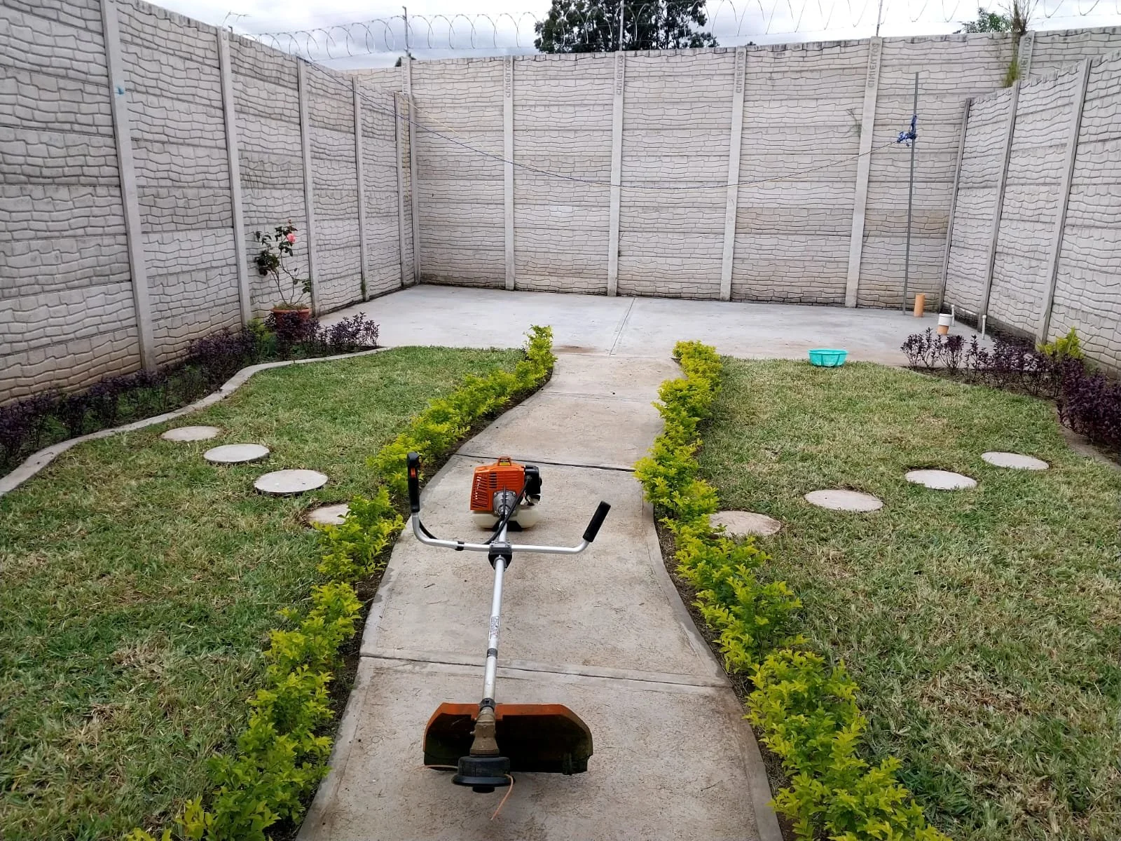 WhatsApp Image 2023-11-06 at 9.10.21 PM (1).jpeg