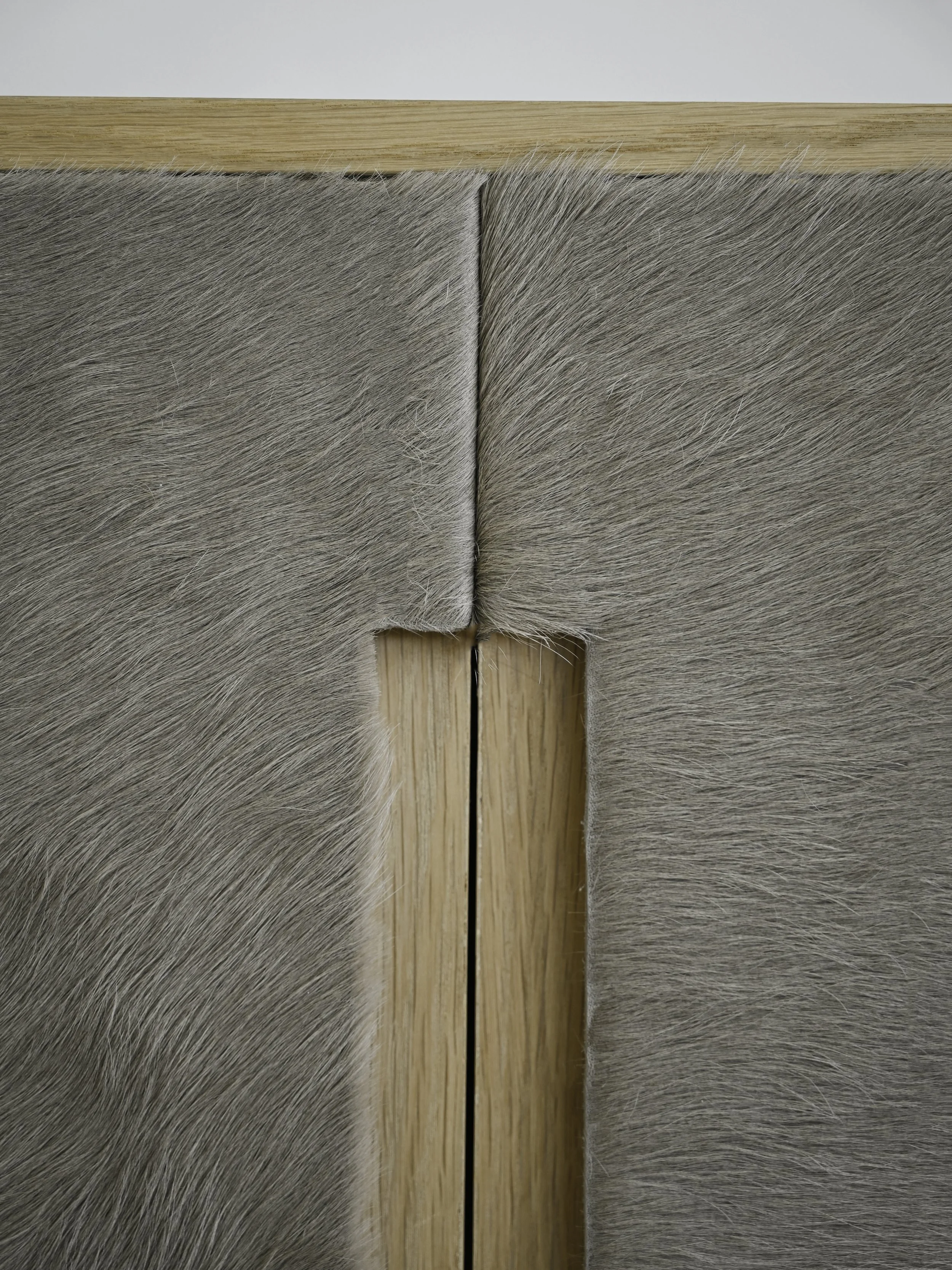 StudioOsklo_4:6:26_LomaVista_Cabinet_4.jpg