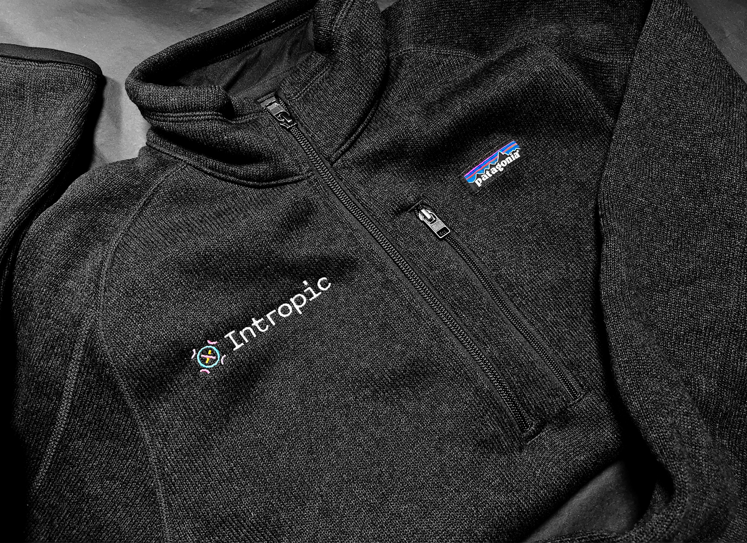 A black fleece jacket with zippered front, embroidered with 'Intrapid' and a small Patagonia logo on the chest, laying on a dark surface.