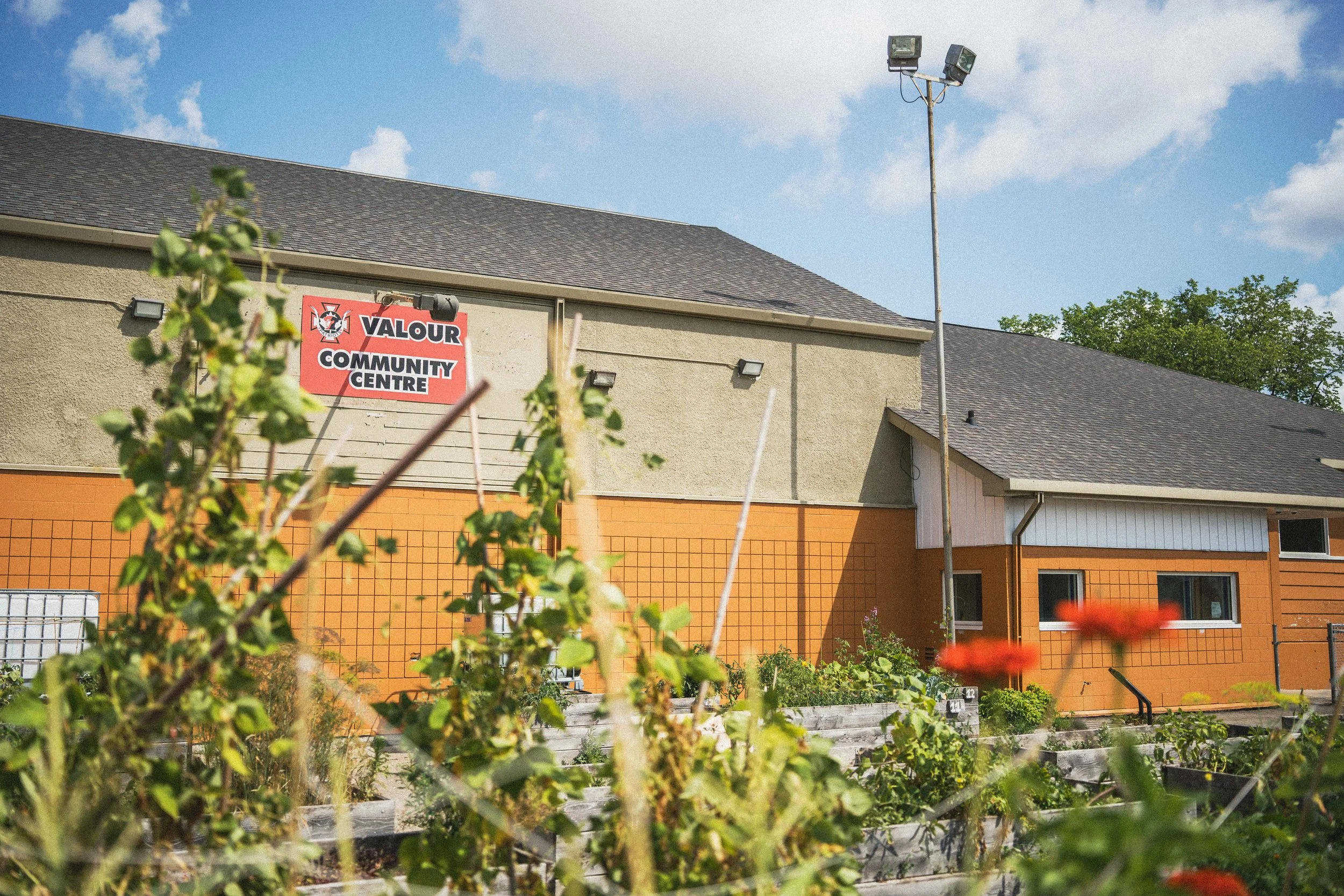 Orioles site