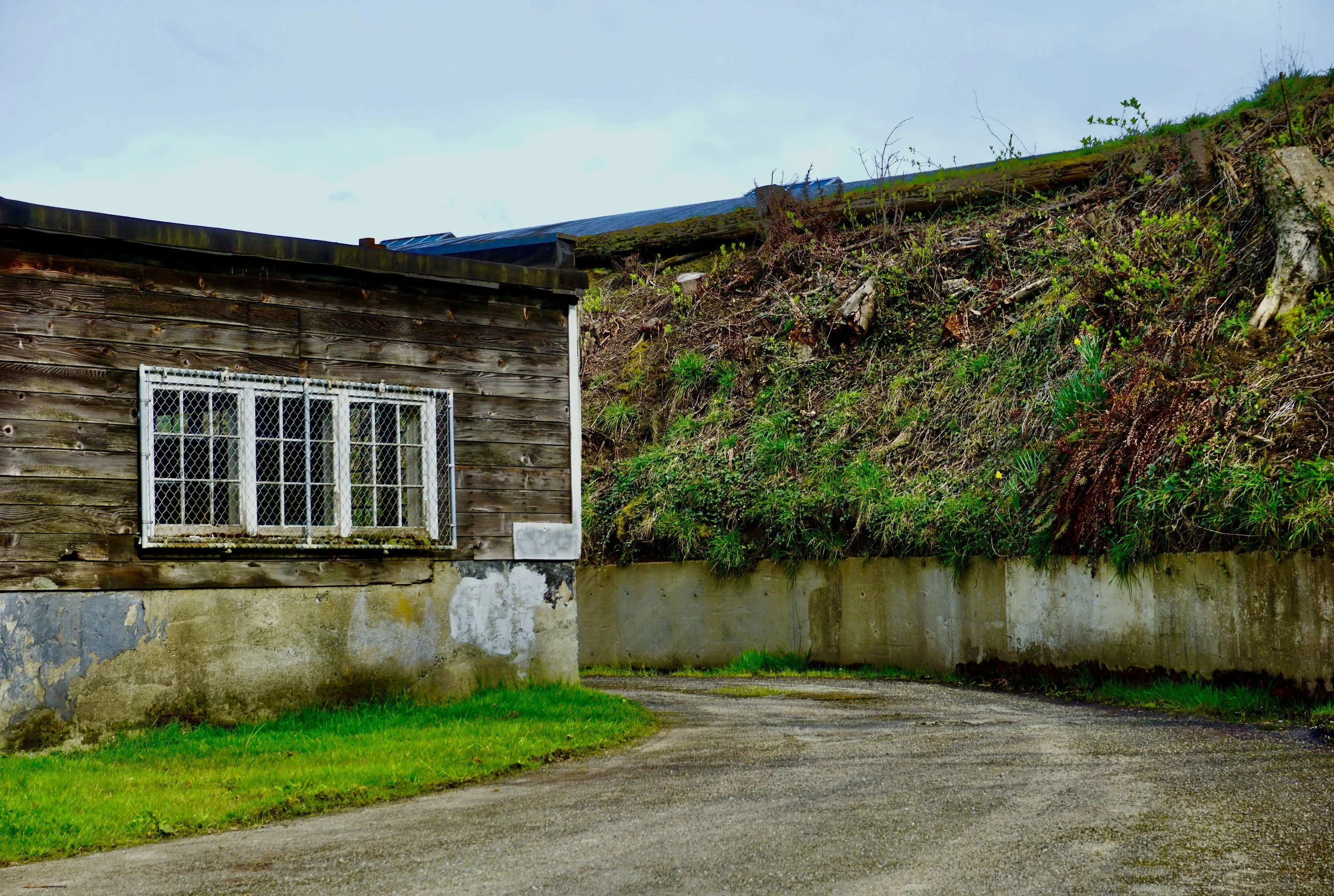 Port Angeles, Washington // March 2025