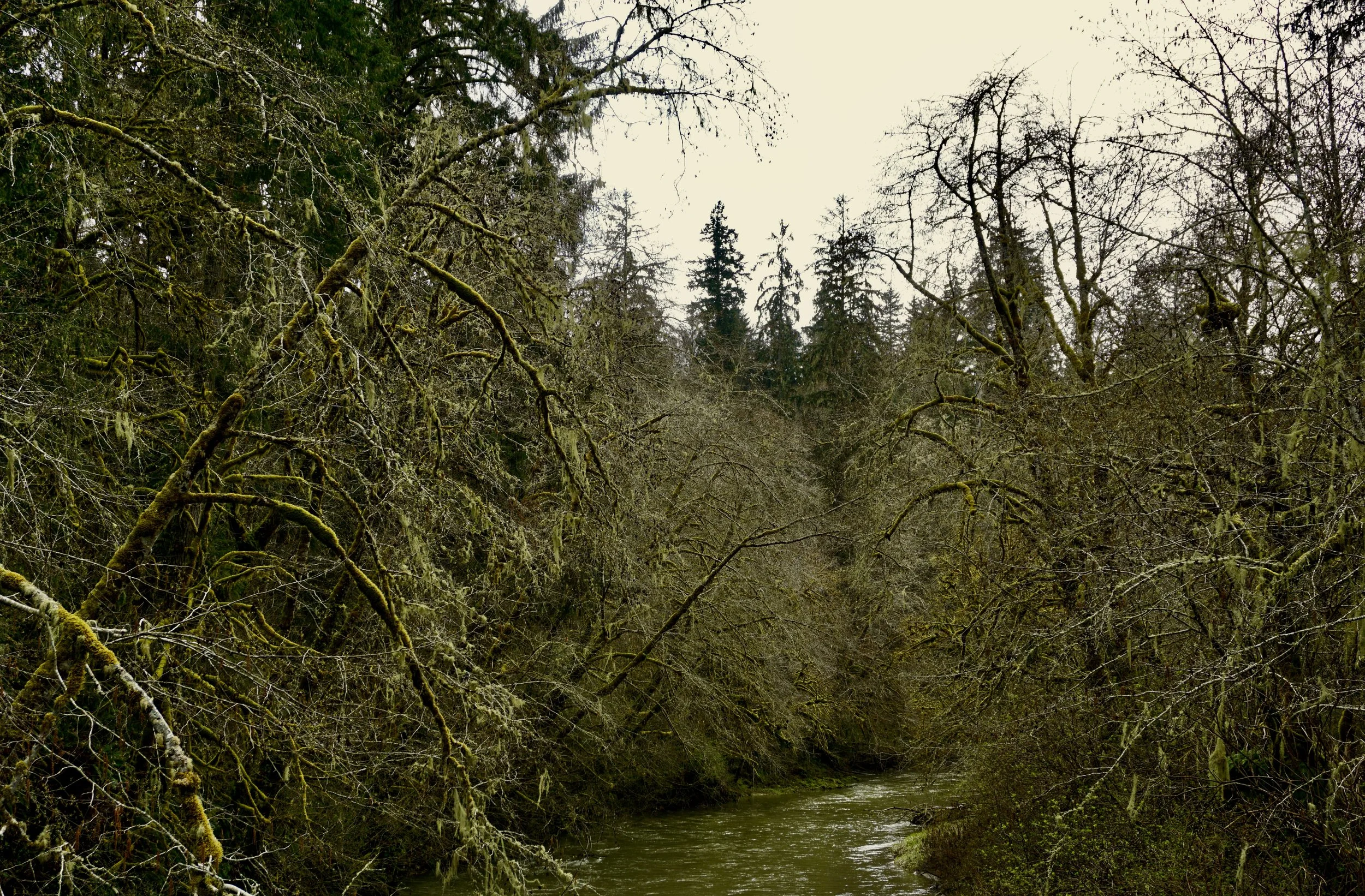 Clallam County, Washington // March 2025