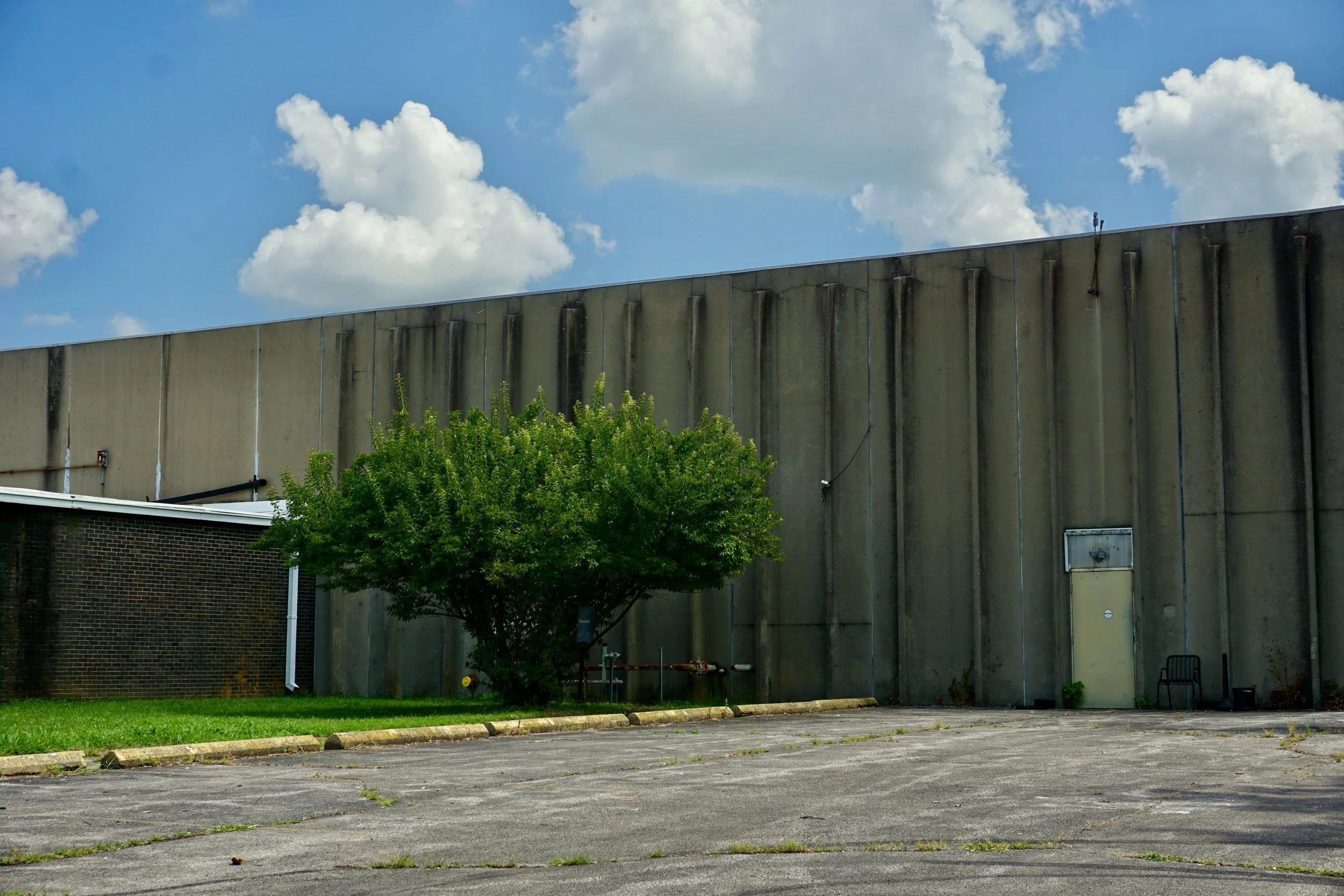 Lexington, Kentucky // August 2025