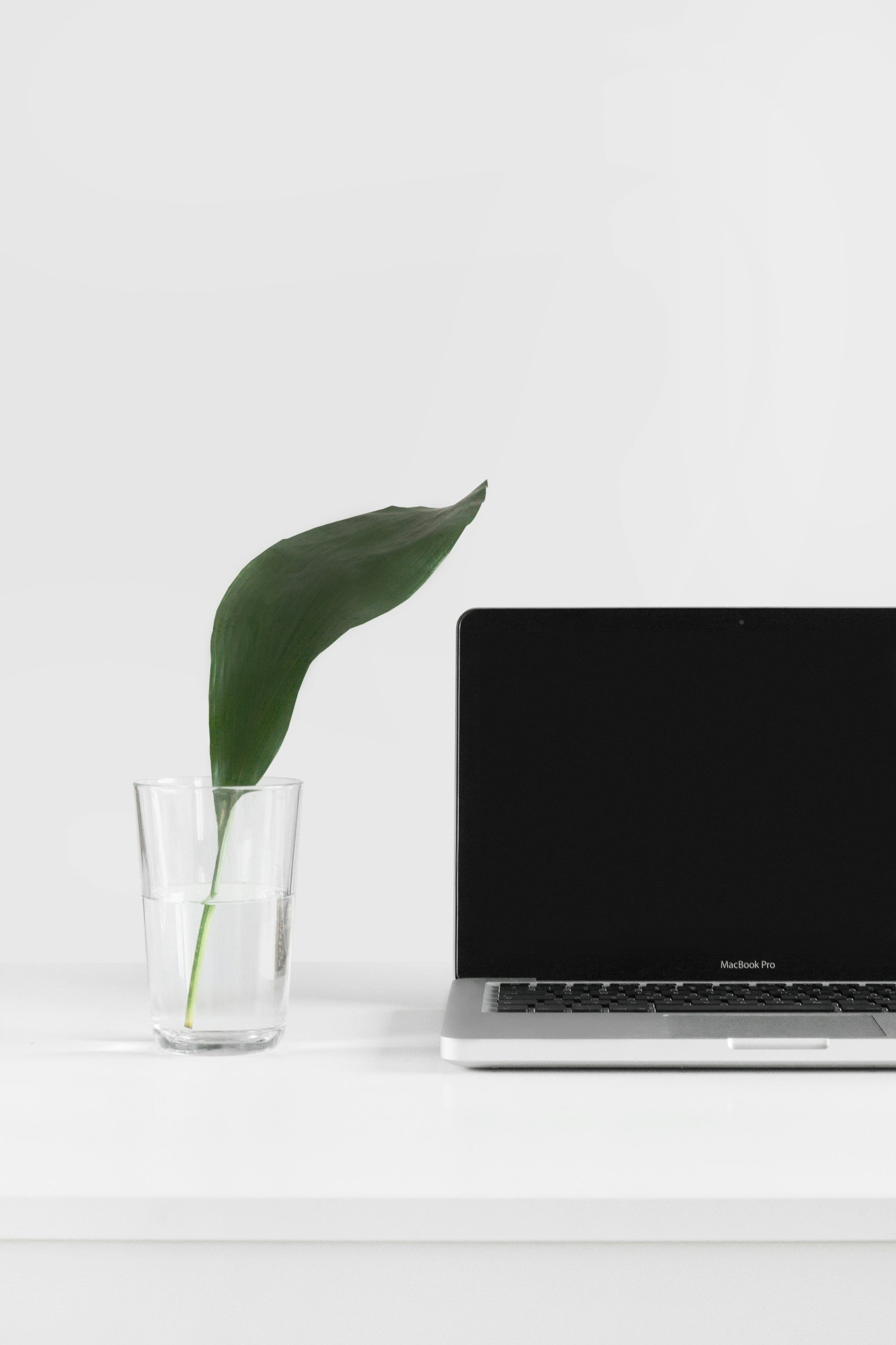 The Beginner’s Guide to Clean Design