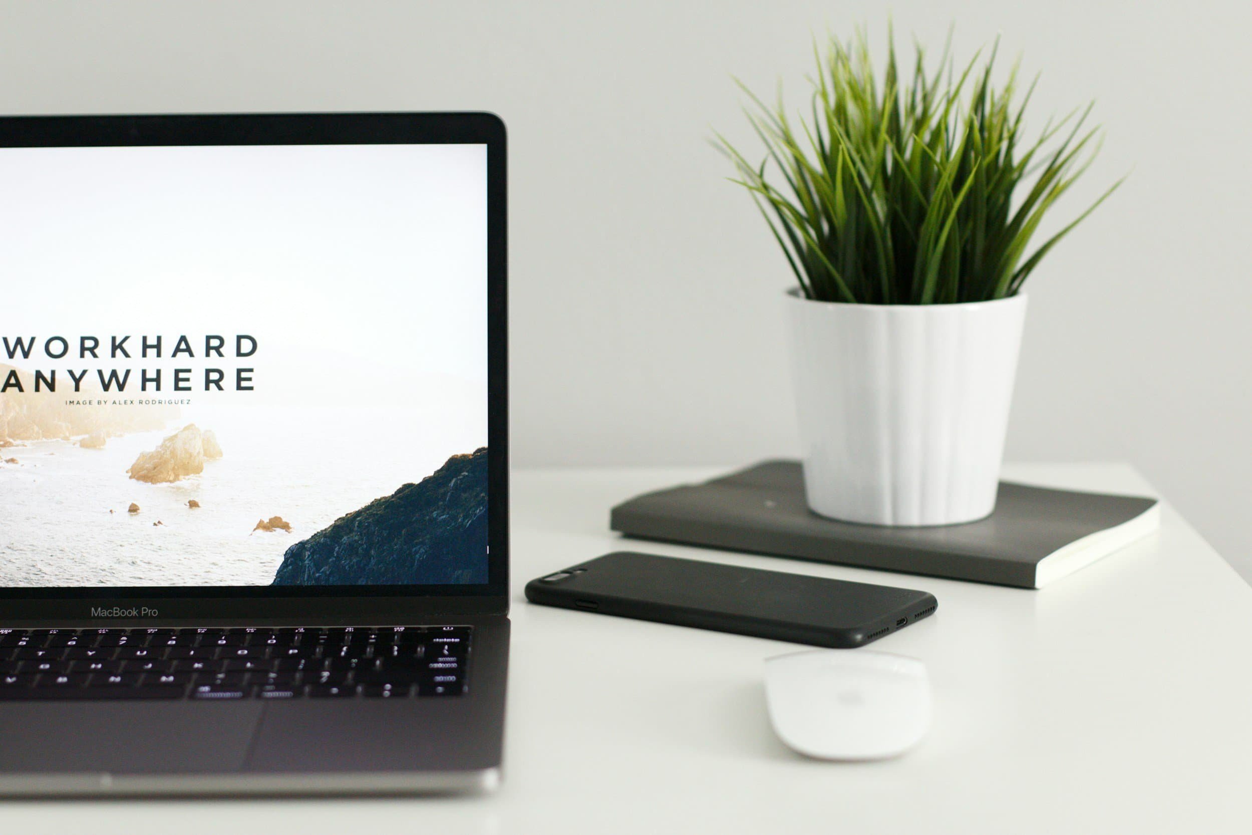 A laptop on a desk with a mouse and a plant.