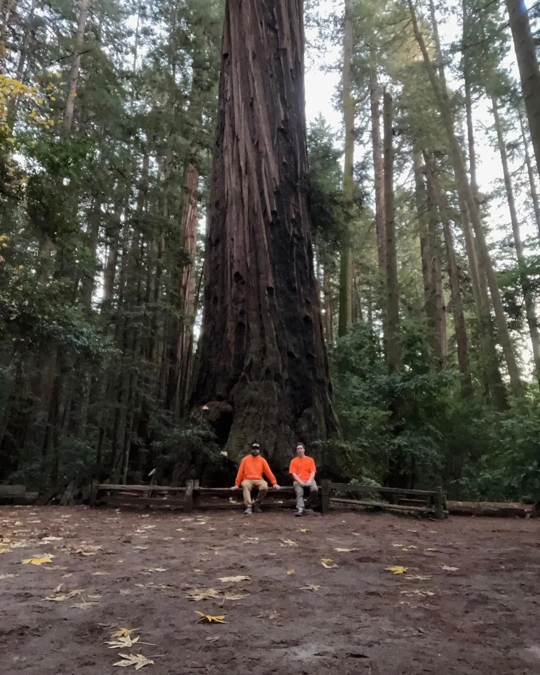 ✨You never know where you&rsquo;ll find us! This week: we&rsquo;re visiting the Redwood forest in California🪾

Grateful for the opportunities that let us see this incredible country. 2026, we&rsquo;re ready for you!☺️🙌🏻