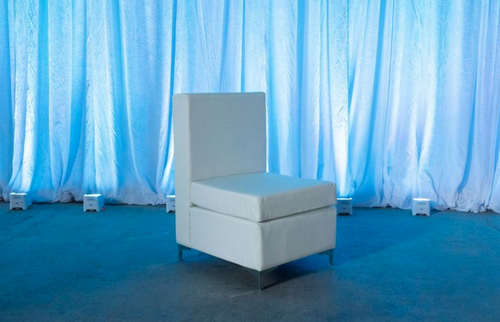 Low Back Sectional