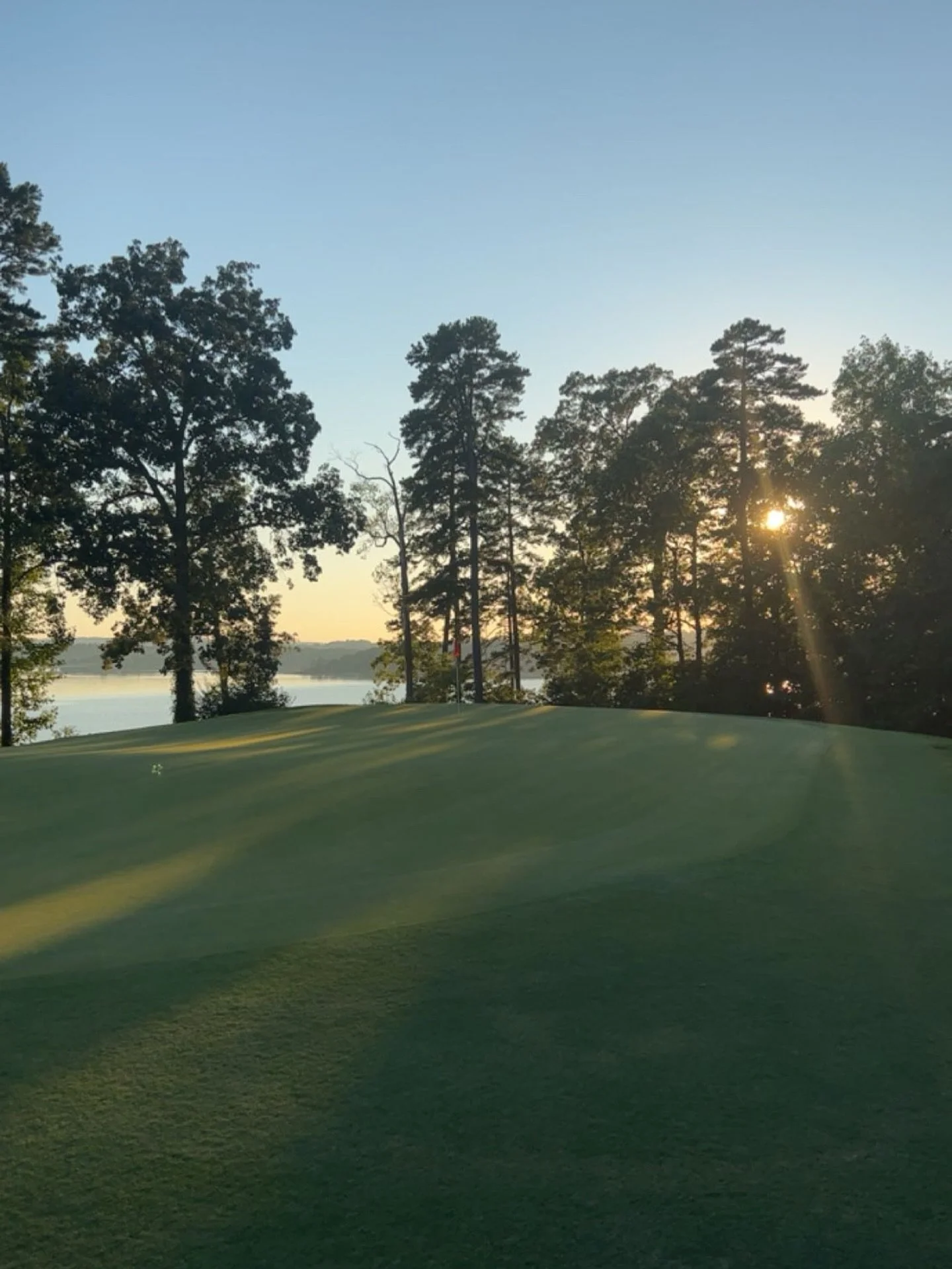 🐅
&mdash;
#golfing #golf #golflife #golfer #golfstagram #golfswing #golfcourse #golfaddict #instagolf #golfers #golfclub #golfislife #golftips #pga #pgatour #golfpro #golfday #golfcoach #golfswag #lovegolf #golfisfun #golfshot #golflifestyle #golfpo