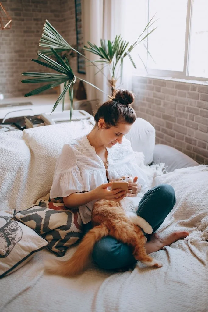 Woman sitting on a beige sofa with a ginger cat lying on her lap, looking at her smartphone in a cozy living room with a brick wall, large window, and indoor plants.