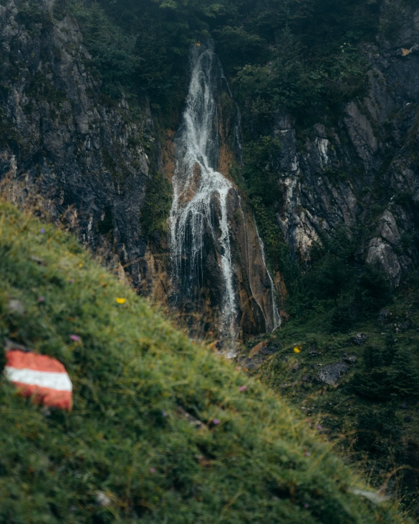 midweek: already looking forward to the next hike⛰️