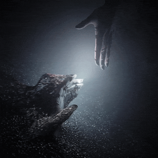 Weathering NFT Collection