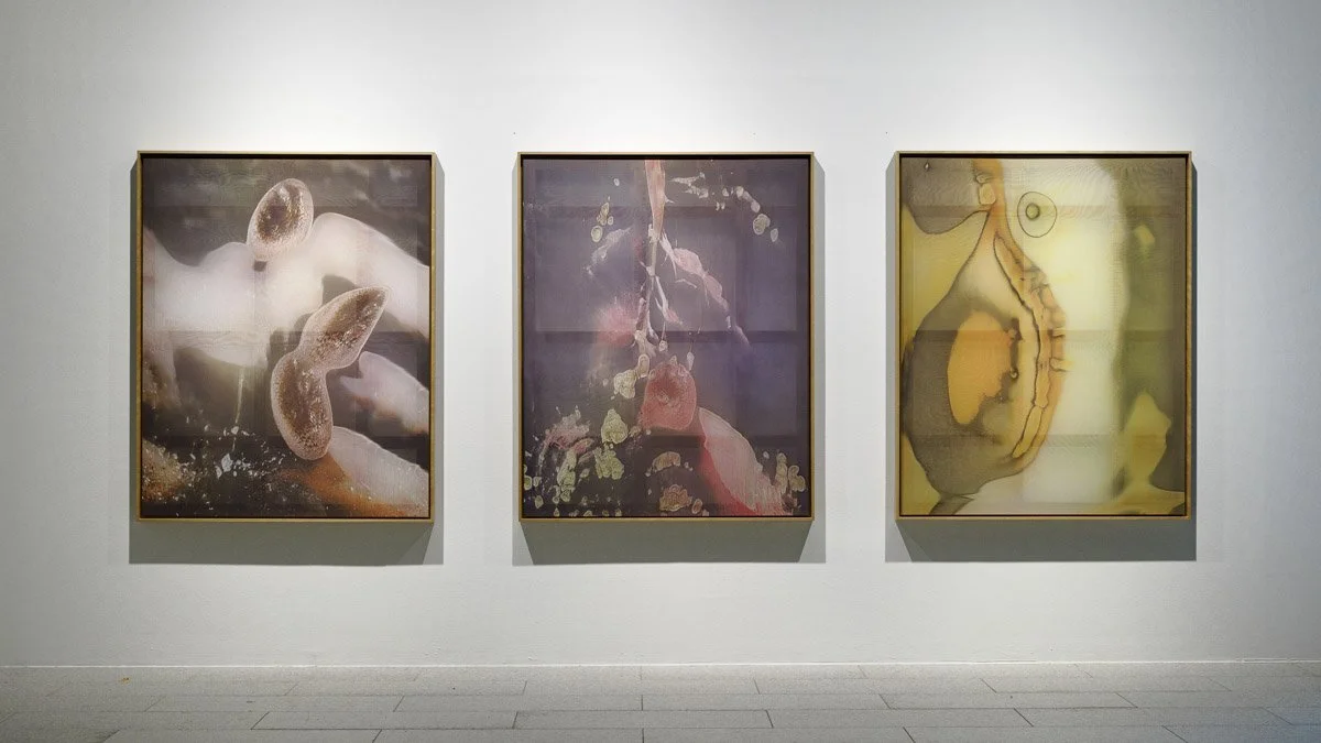 Anicka Yi: Jeju Biennale
 
(from left to right)  Surgery Is The New Sex ,  Qui Cocos , and  Reverse Osmosis ; all works: UV print on silk screen mesh in cherry frame, 58.5 x 46.5 in. (148.5 x 118 cm), 2022, installation view, Jeju Biennale, Seoul, So