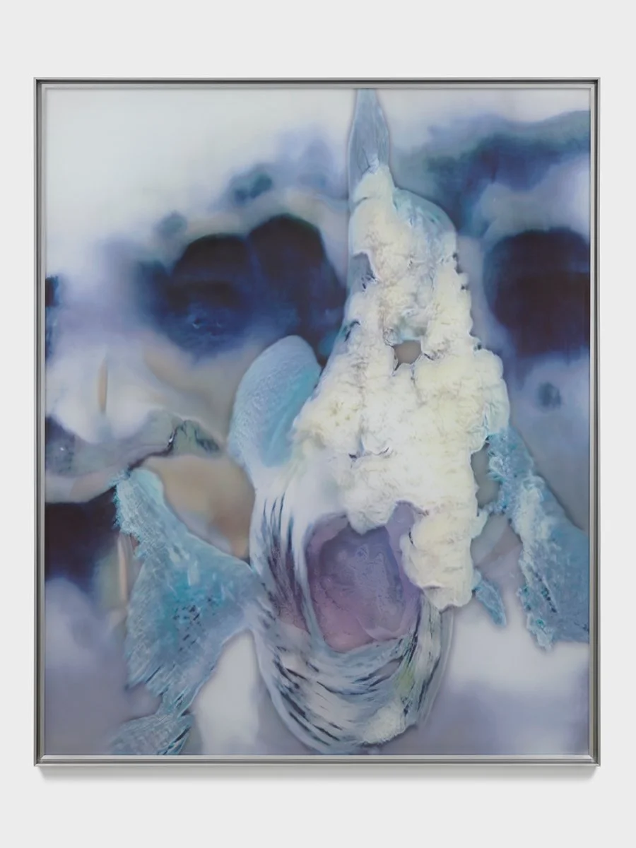 Anicka Yi: Gladstone Gallery 
 
 §£†§þ† , 2022. Acrylic, UV print, aluminum artist’s frame, 67 1/4 × 55 1/4 × 1 1/2 inches. Photo: Tom Powel Imaging. © Anicka Yi.