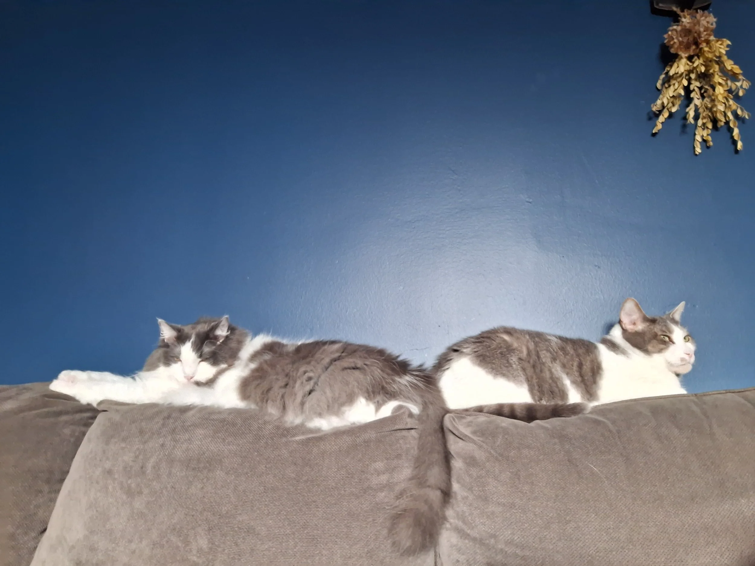 20240508_102920.jpg