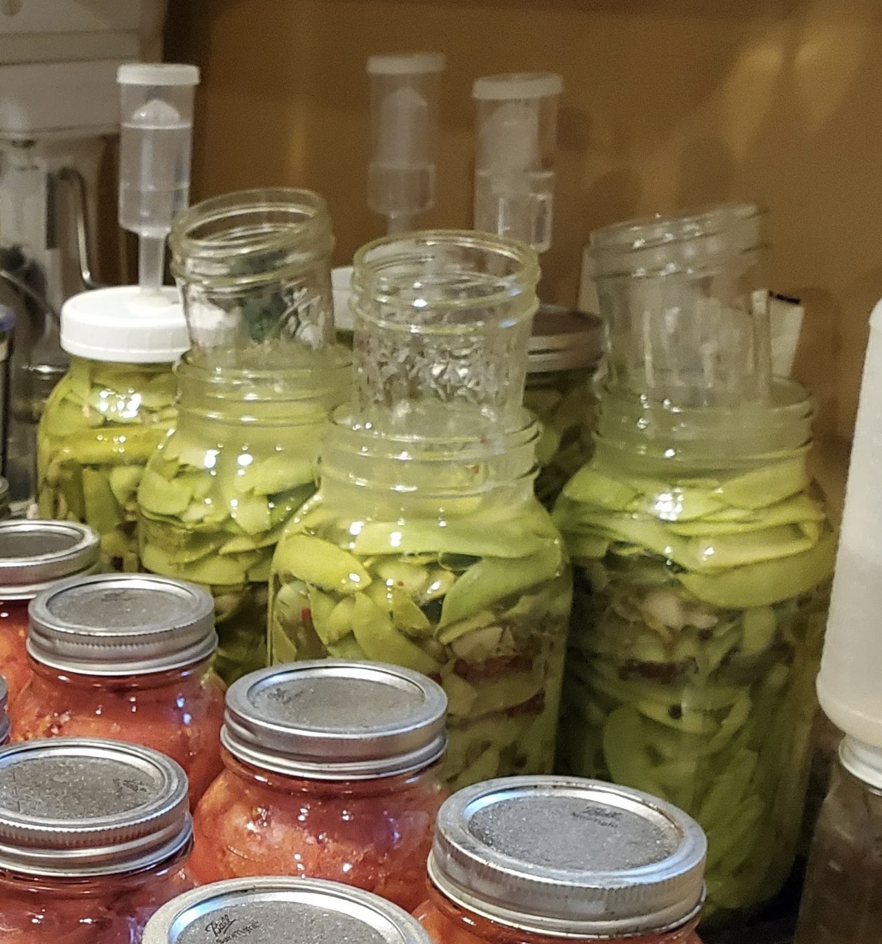 FERMENTATION OF VEGETABLES