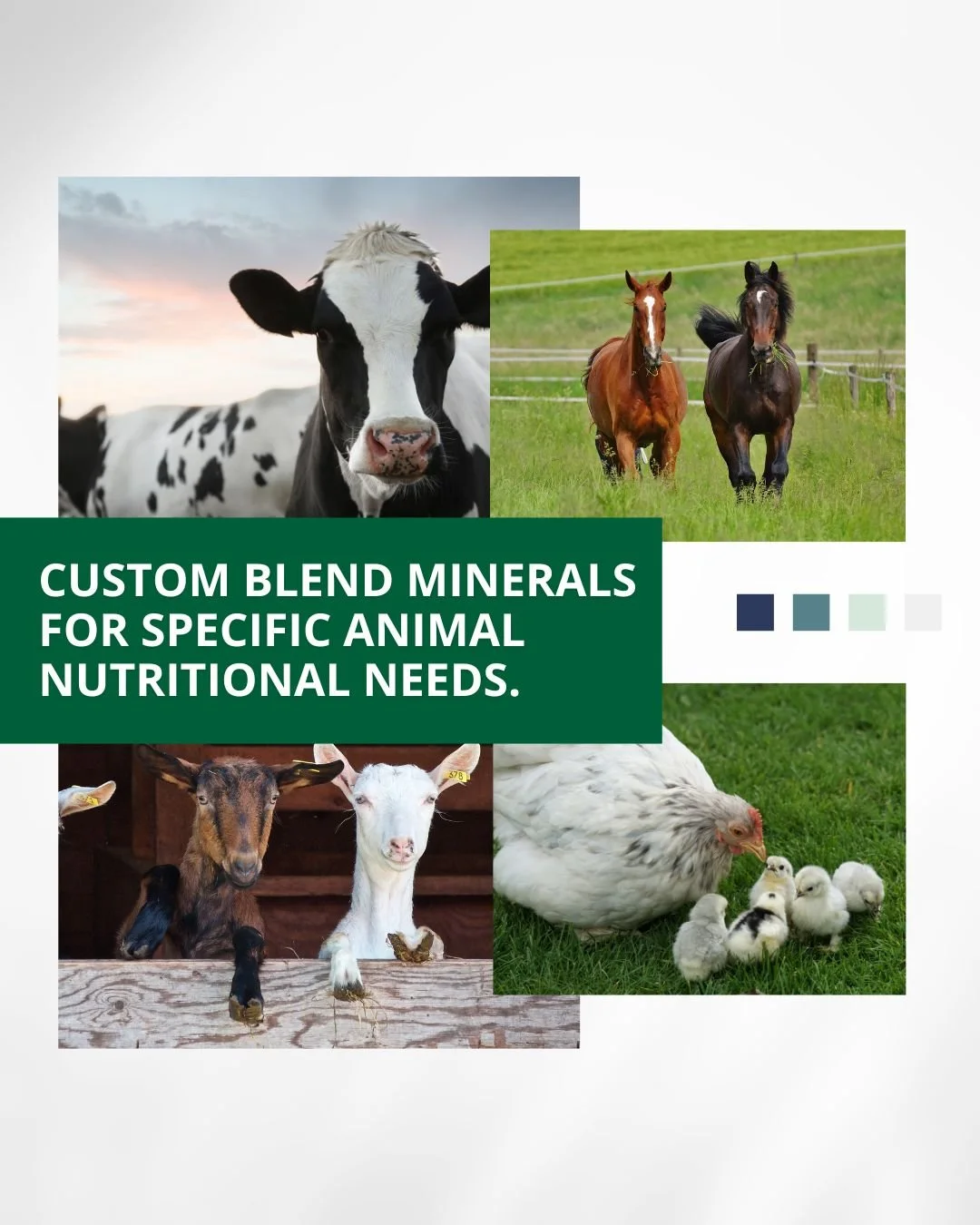 From poultry to pigs, goats to dairy cows &mdash; Fertrell&rsquo;s nutrition products are designed to keep your whole barn healthy.