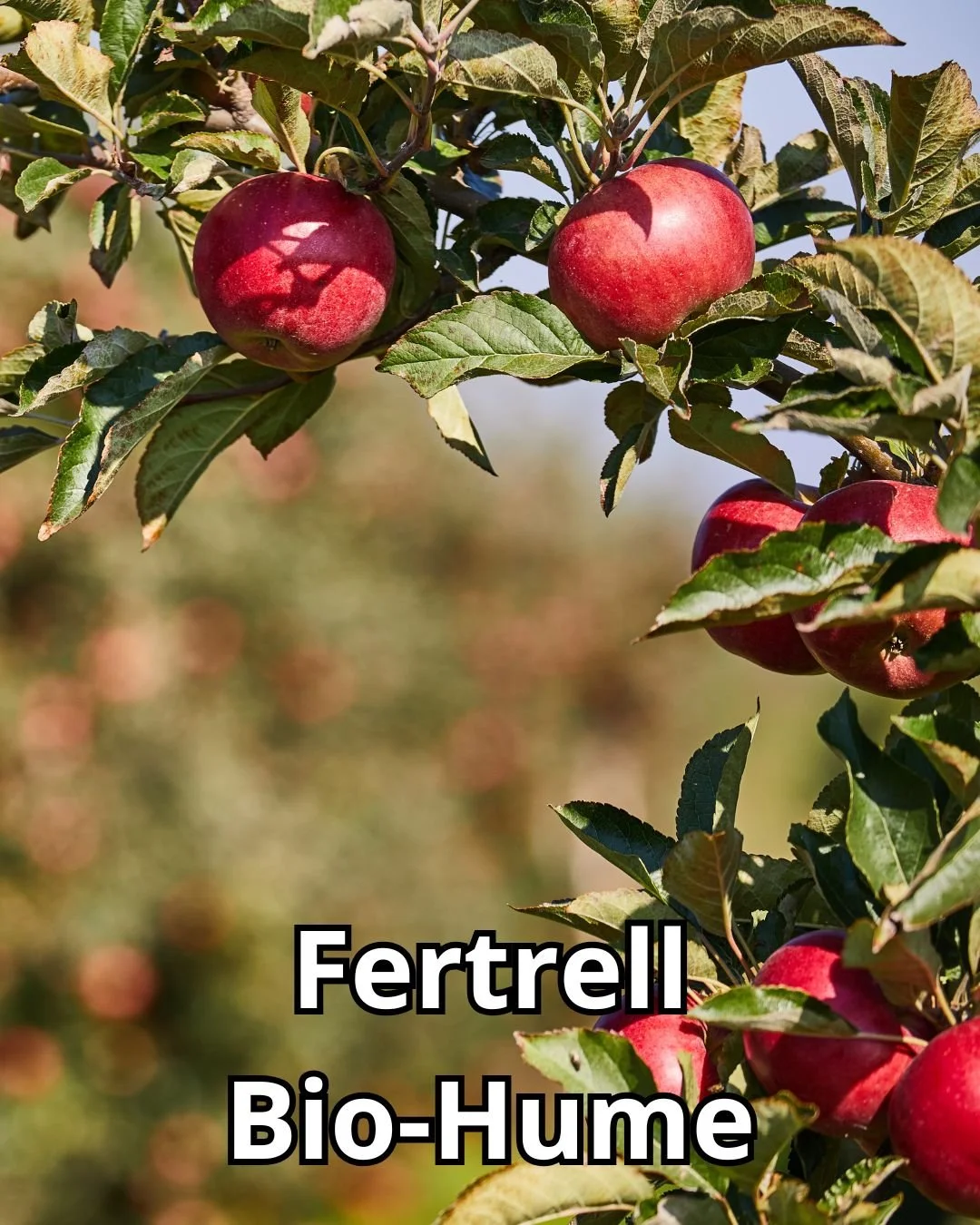 Feed your soil’s microbiome. ðą Bio-Hume adds humates and trace minerals that boost soil health, increase nutrient uptake, and enhance plant growth the natural way.