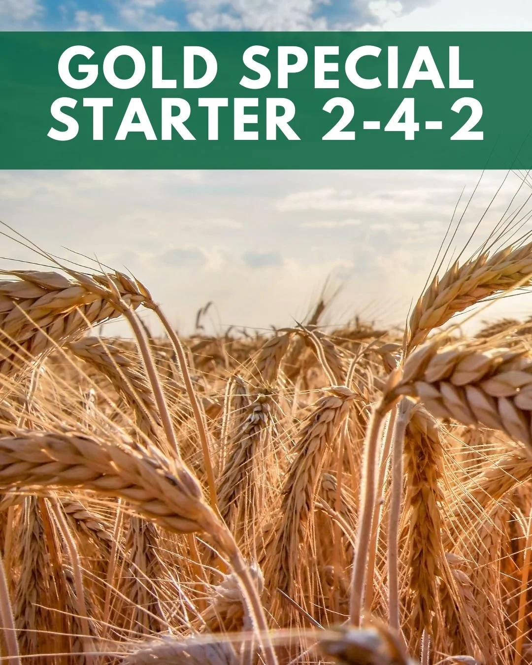 Planning for next season? Give seedlings the best start possible. 🌿 Fertrell&rsquo;s Gold Special Starter 2-4-2 promotes early root development and balanced growth for strong plants that thrive all season long.