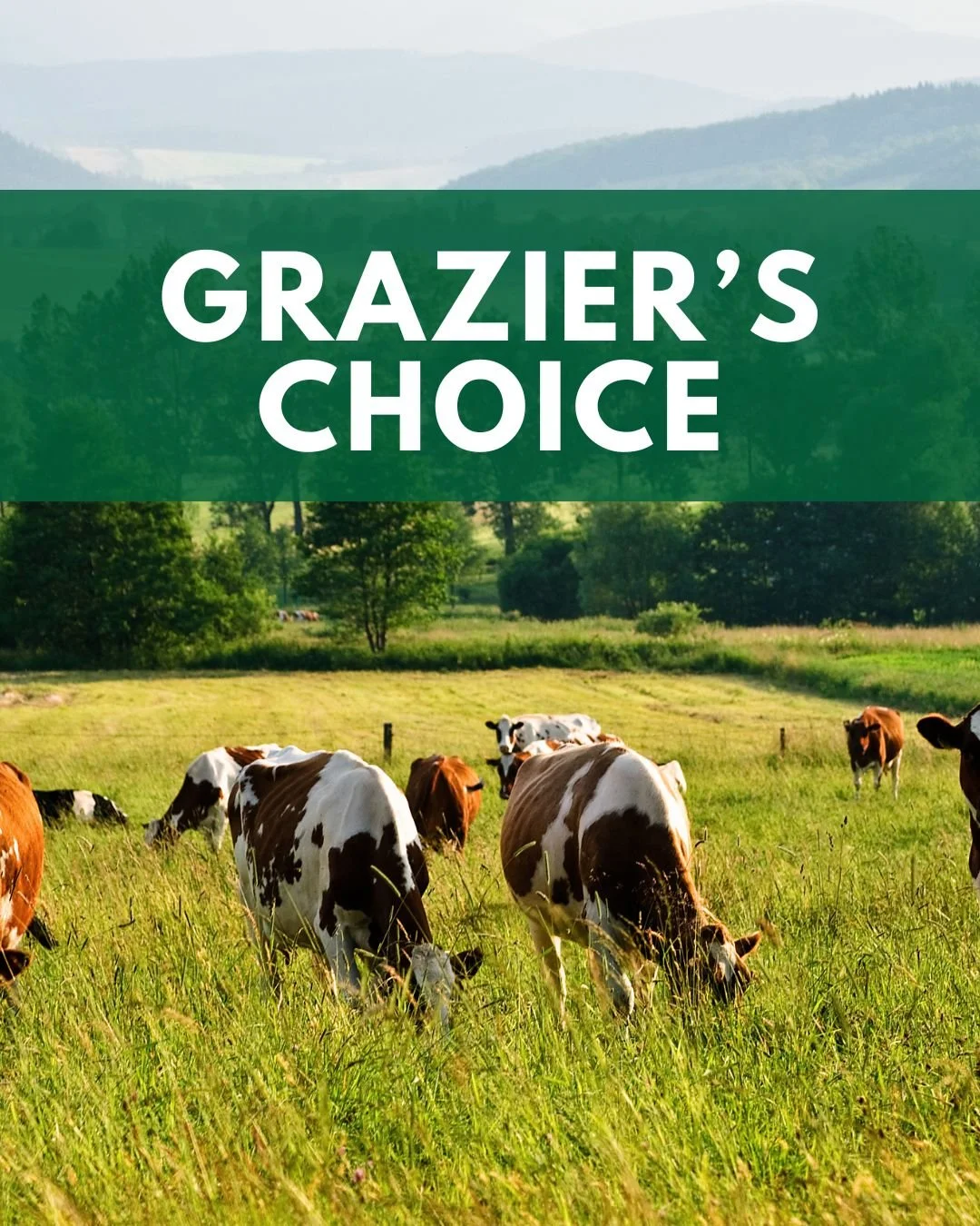 Feed your pasture, feed your herd. 🌱 Graziers Choice builds soil fertility and boosts forage growth for grazing livestock. Stronger fields mean healthier animals &mdash; naturally.