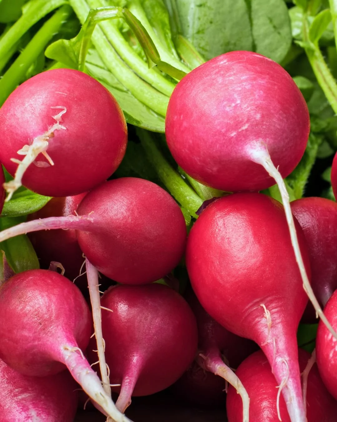 From raised beds to backyard plots, Fertrell&rsquo;s natural fertilizers give your garden exactly what it needs: balanced nutrition, long-lasting fertility, and healthy, vibrant plants. Because great gardens start with great soil. 🌱