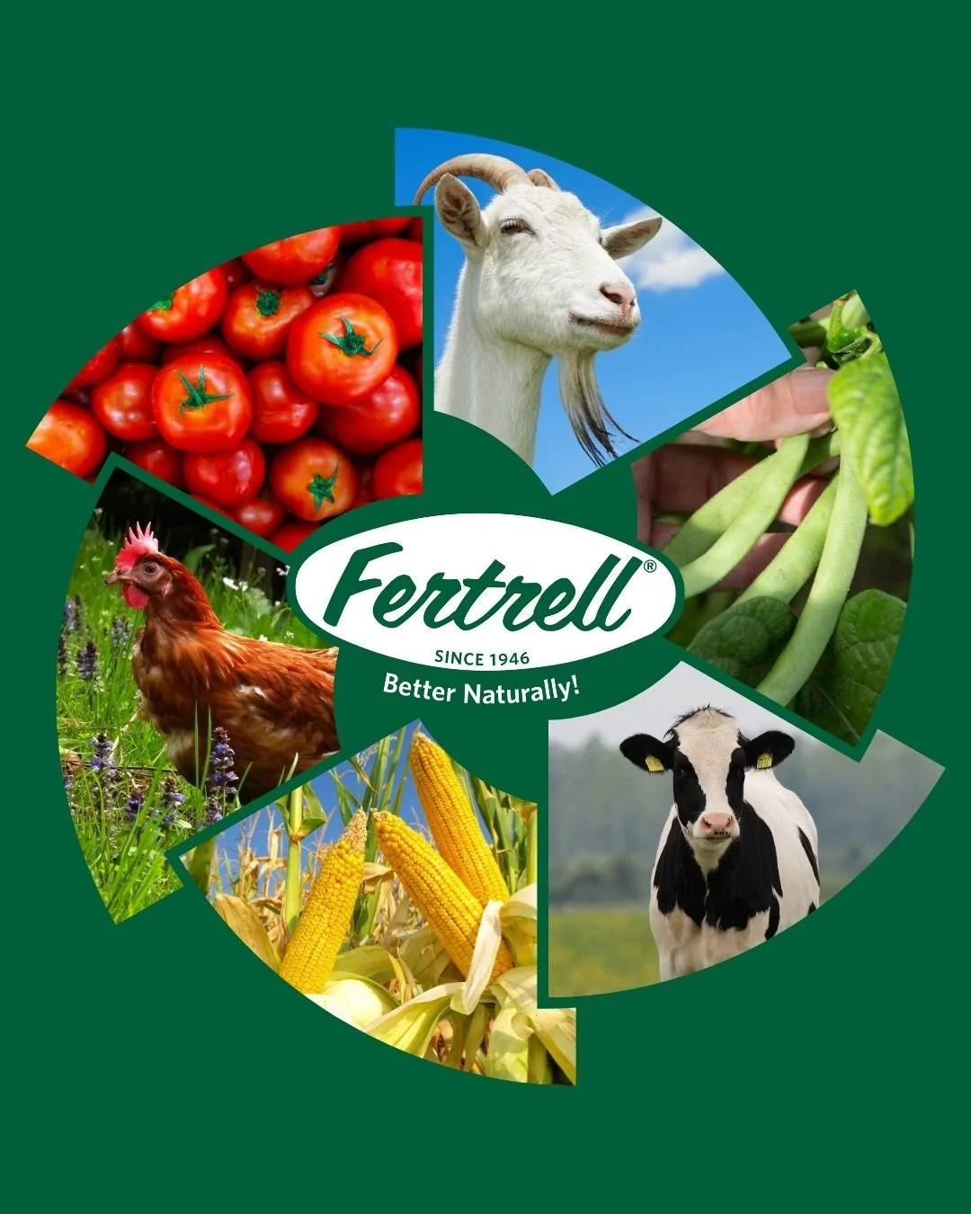 From backyard homesteads to family farms, Fertrell products are closer than you think. 🌾 Find your nearest dealer or feed store carrying our natural fertilizers and animal nutrition blends today and get everything you need to farm the Fertrell way. 