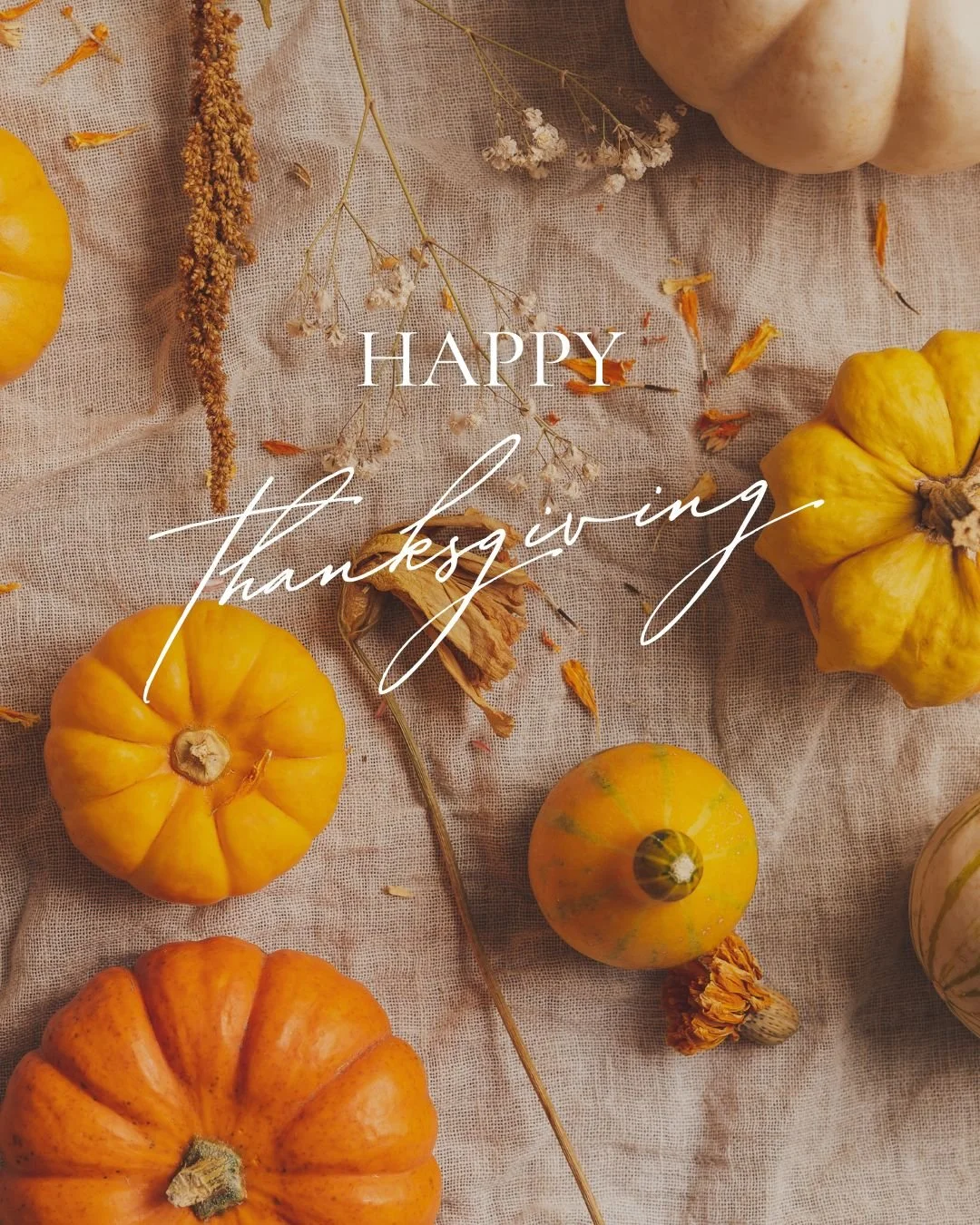 We&rsquo;re grateful for healthy soil, happy animals, and the hardworking hands that make every harvest possible. 🍂 Wishing you a safe, abundant, and peaceful Thanksgiving from all of us at Fertrell.