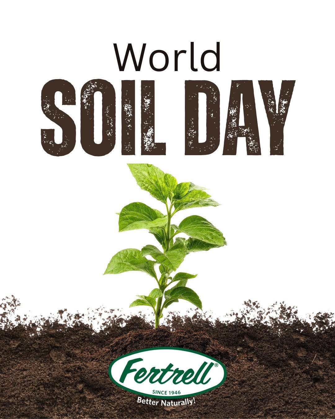It's World Soil Day 🌎🤎

Healthy soil isn&rsquo;t just &ldquo;dirt.&rdquo; It&rsquo;s a living ecosystem, the foundation of every strong field, vibrant garden, and thriving herd. When we care for the soil, we protect our food, our animals, and our f
