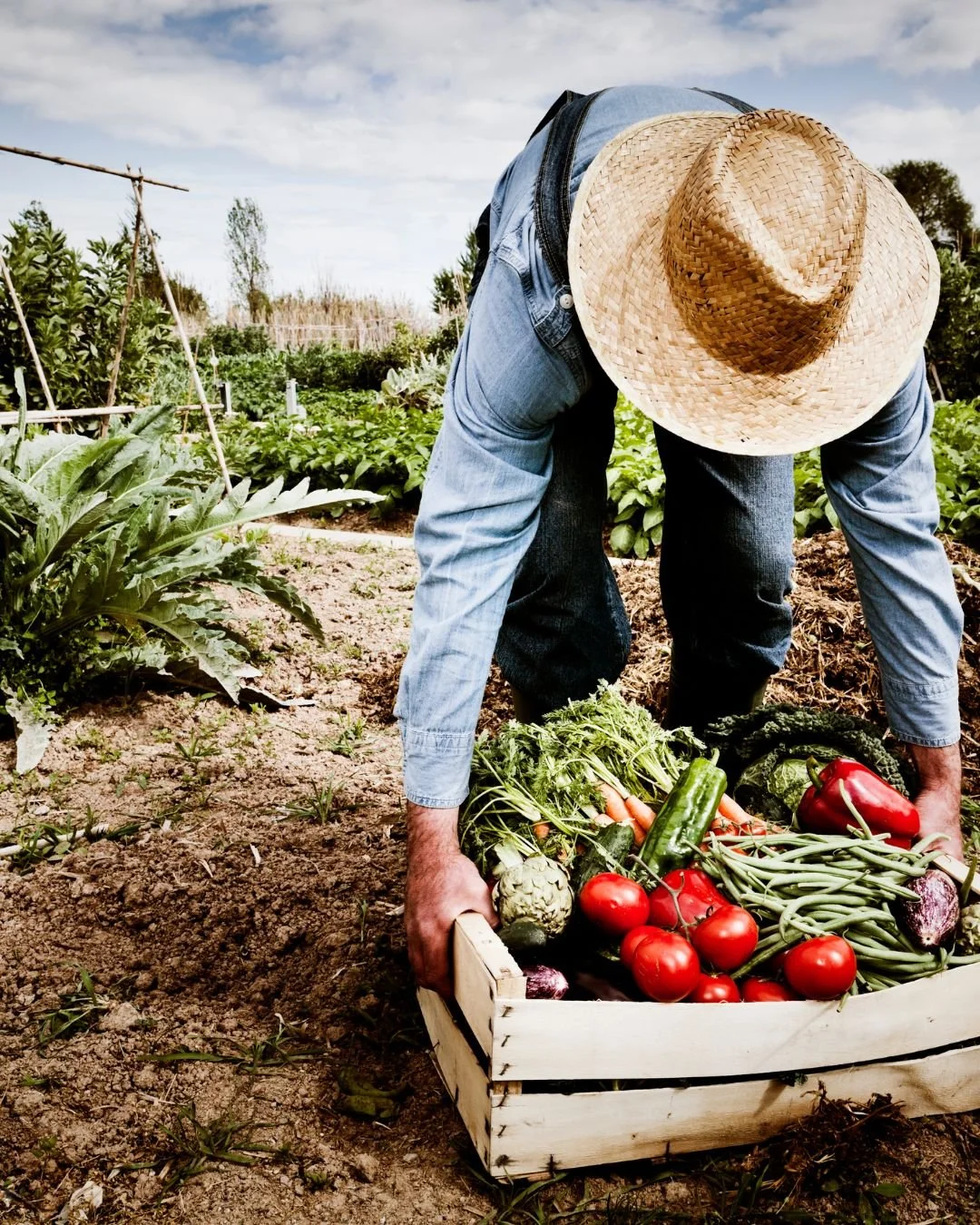 If you want a garden that actually thrives this spring, start by testing your soil now. A winter soil test gives you insight into pH, mineral balance, organic matter, and what your soil is missing. Instead of guessing what to add in spring, you can s