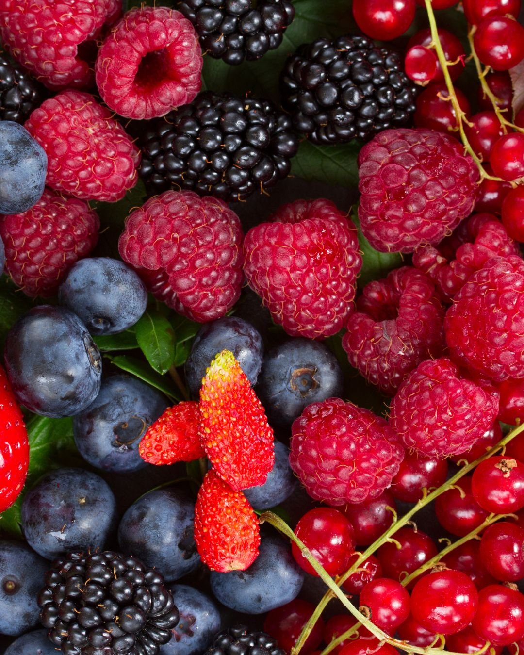 Stock Up on Berry Mix 4-2-4 🍓🌱

If berries are on your spring wish-list, now is the time to prep your soil and Berry Mix 4-2-4 is one of the easiest, most effective ways to set yourself up for a bigger, sweeter harvest.

Berry Mix 4-2-4 was designe