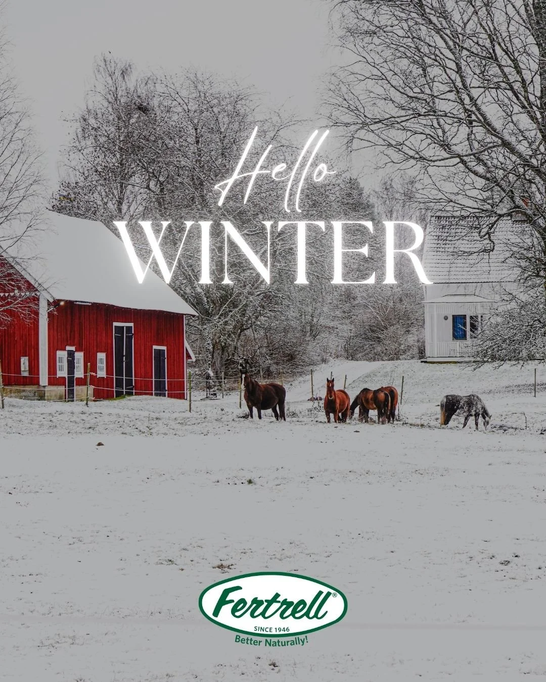 Happy first day of Winter!!