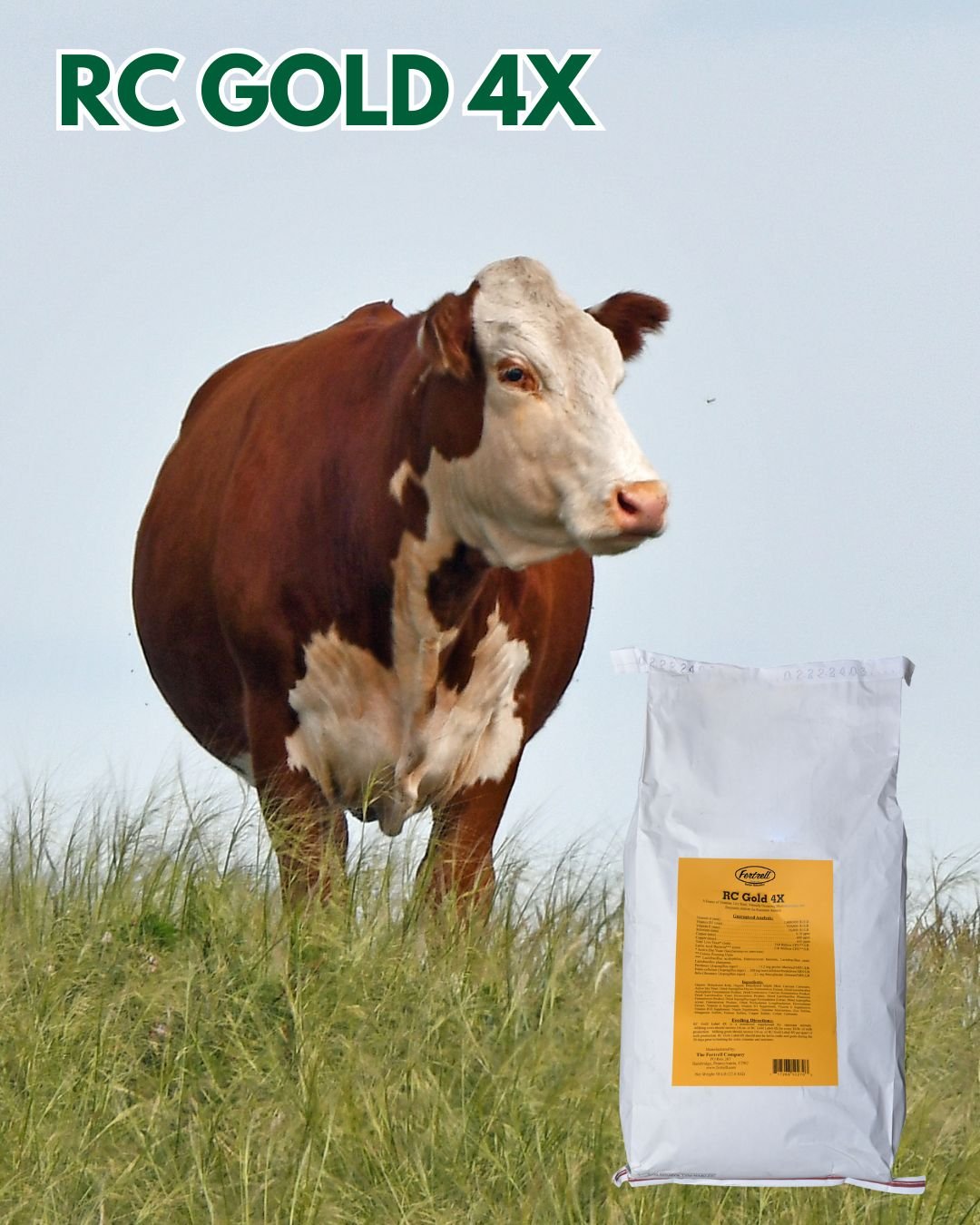 Last chance to get 10% off of RC Gold 4X in December! Contact your sales rep or dealer now!