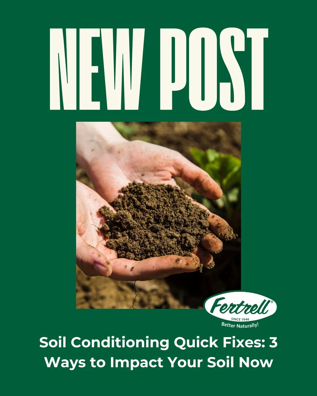 New blog post! Soil Conditioning Quick Fixes: 3 Ways to Impact Your Soil Now. Read it here: https://loom.ly/wkbcApk