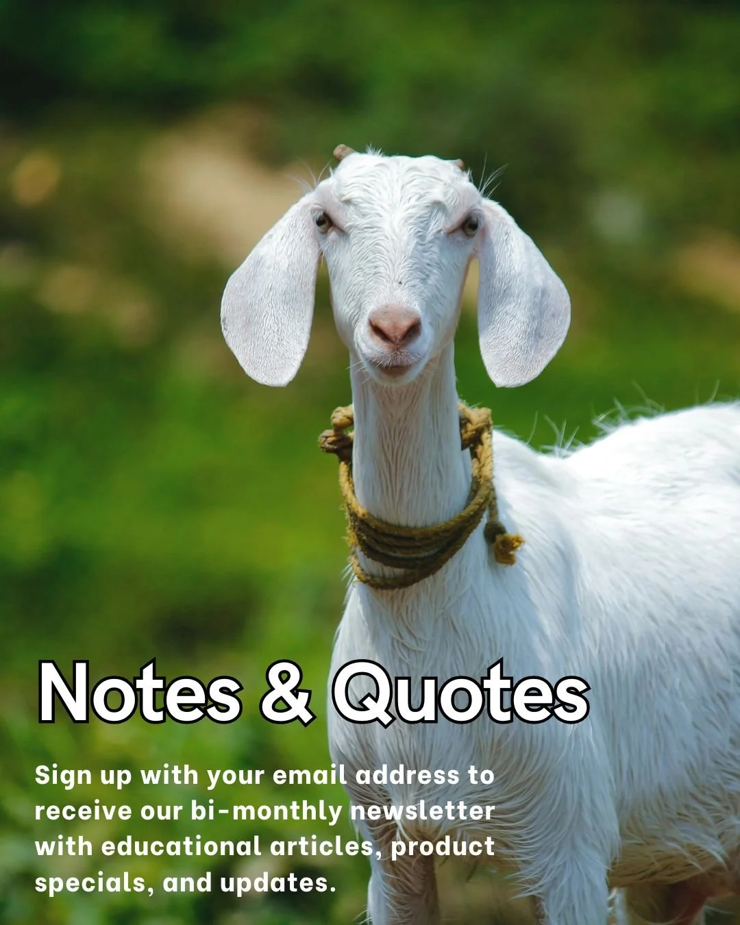 Sign up for Notes &amp; Quotes to get Fertrell updates, research, and seasonal guidance delivered to your inbox.