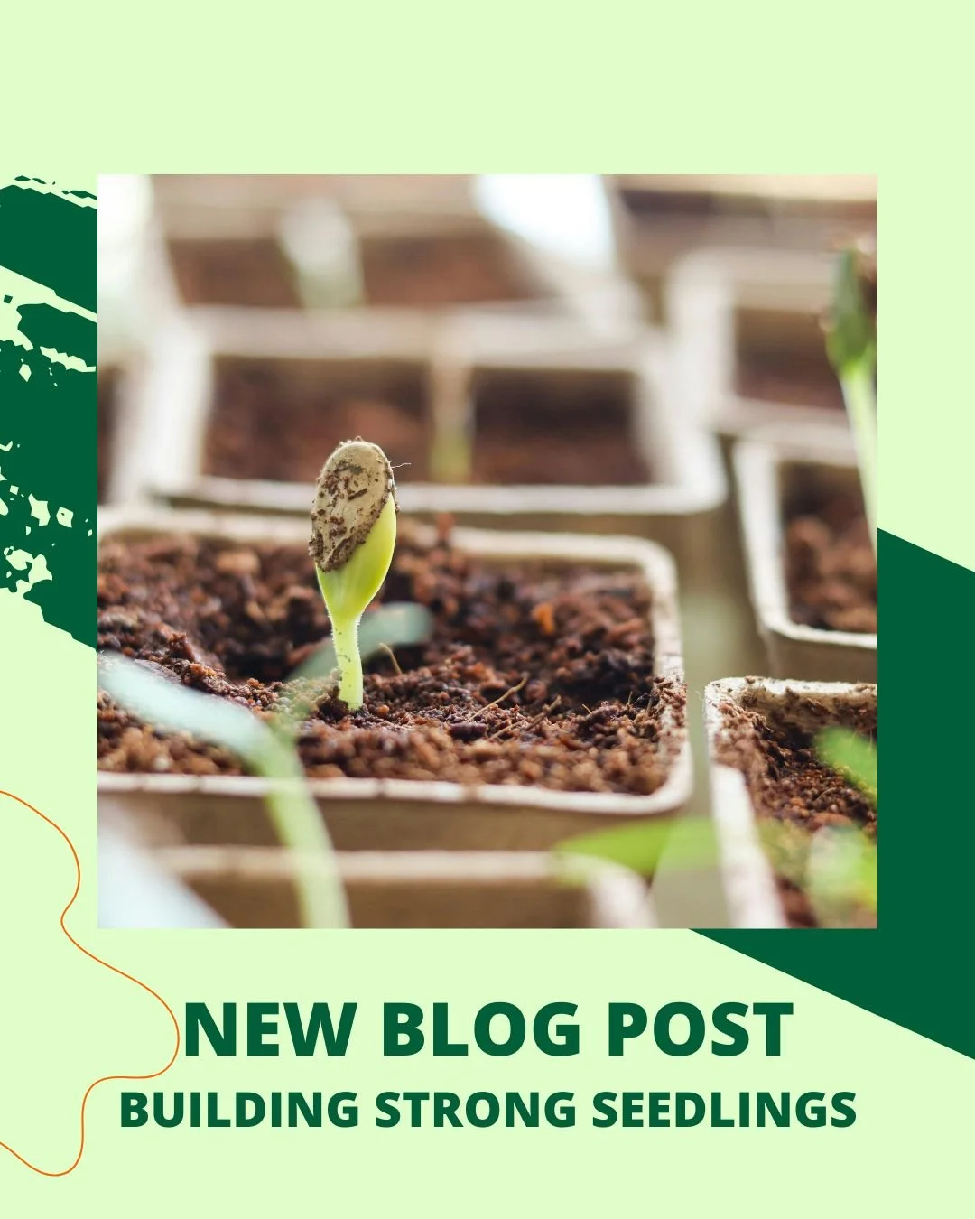 As Sping approaches, check out our blog post "Building Strong Seedlings". https://loom.ly/XnCSmVY