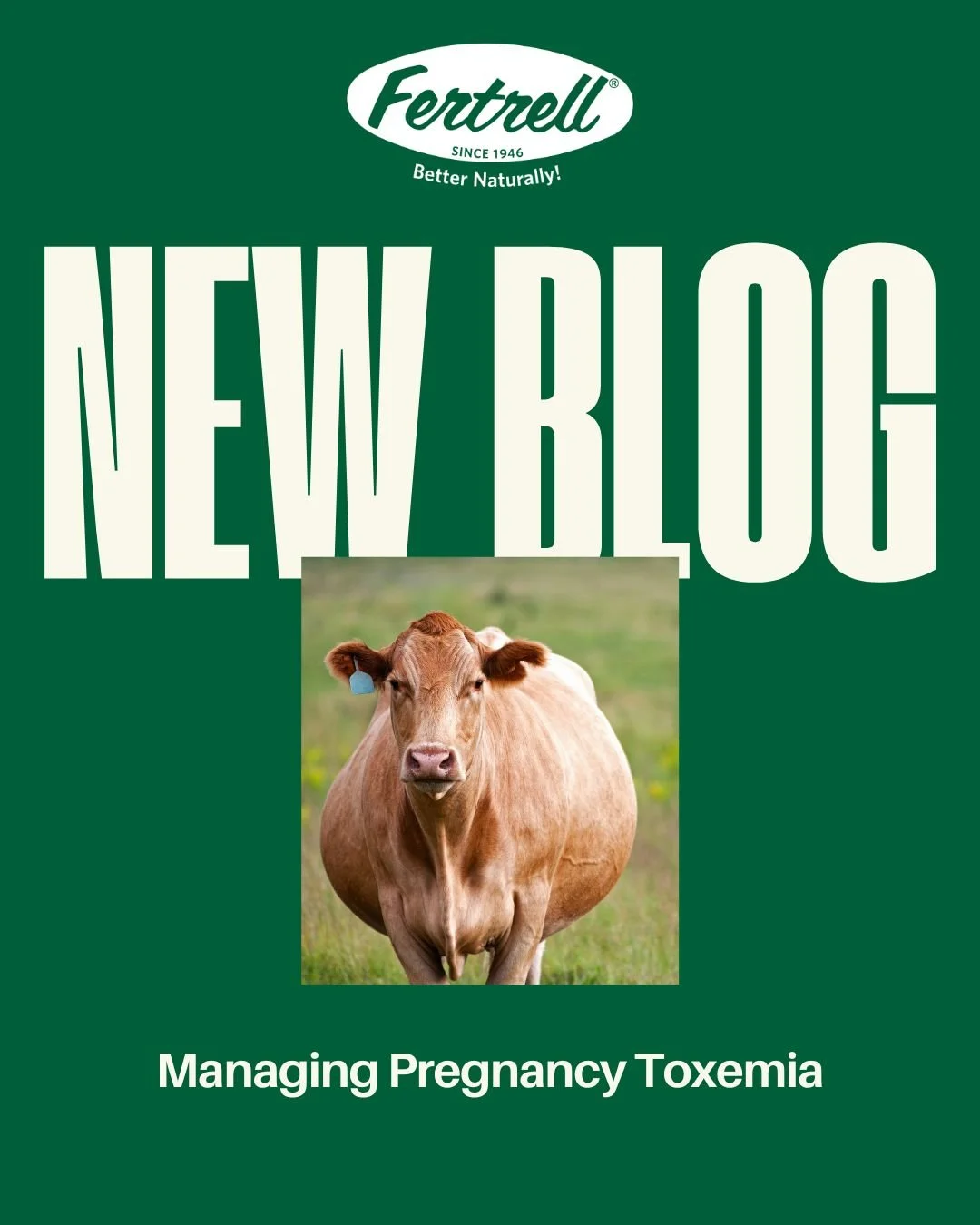 Looking for deeper dives into soil, livestock, and nutrient management? Visit the Fertrell blog for practical, science-based insights. Check out our latest blog post "Managing Pregnancy Toxemia". 
👉 https://loom.ly/7ndiDBE