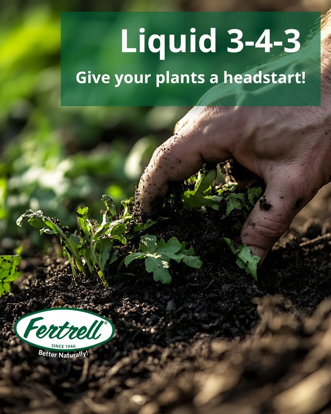 Save 10% off in February on Fertrell's Liquid 3-4-3.

Fertrell Liquid 3-4-3 is formulated to meet the nutritional demands of high producing crops in a liquid fertilization program or a supplemental drip program. It contains good amounts of kelp and l