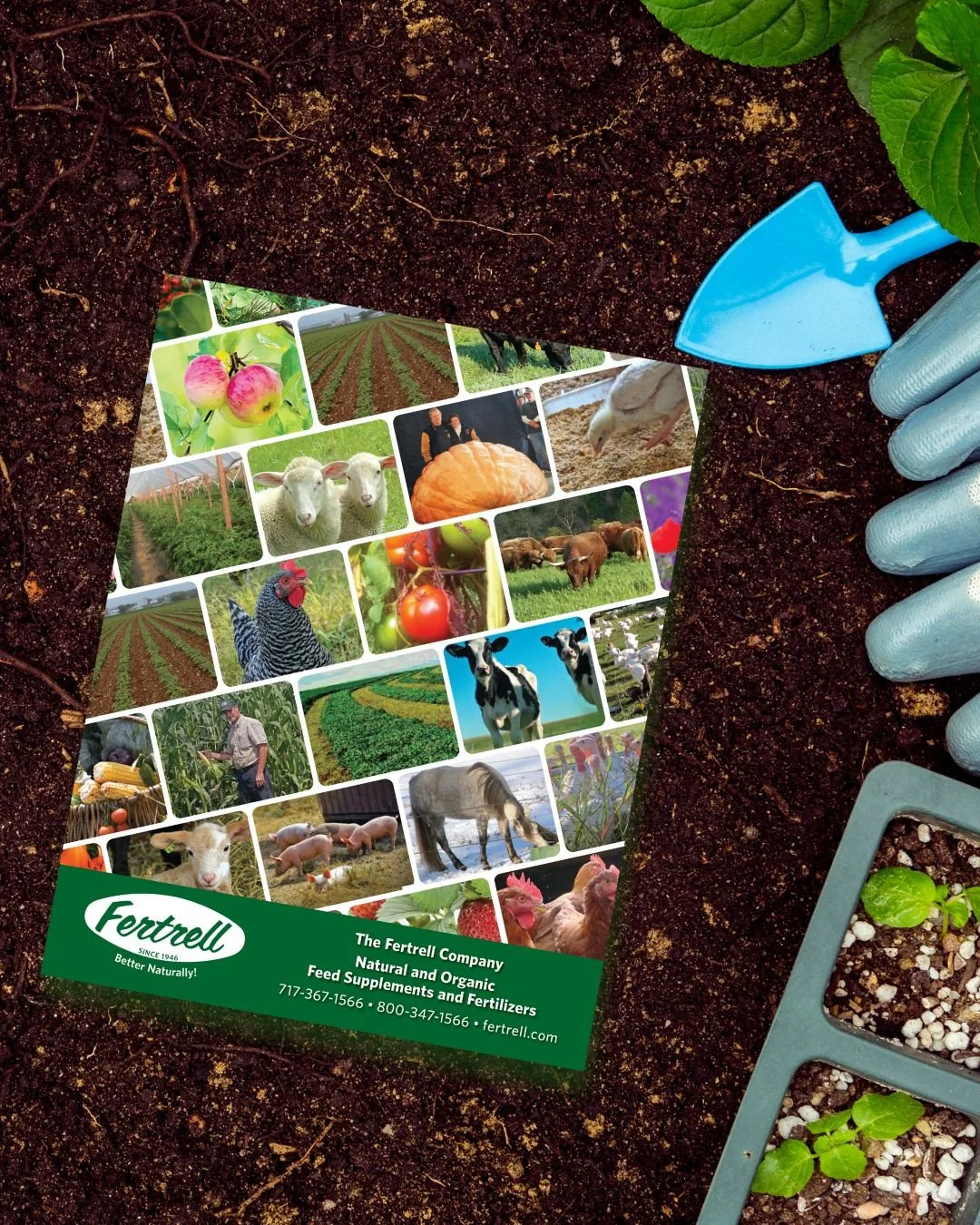 🌱 Looking for the full lineup? Contact us to request our complete product catalog and explore all the options we offer for soil, crops, and livestock.