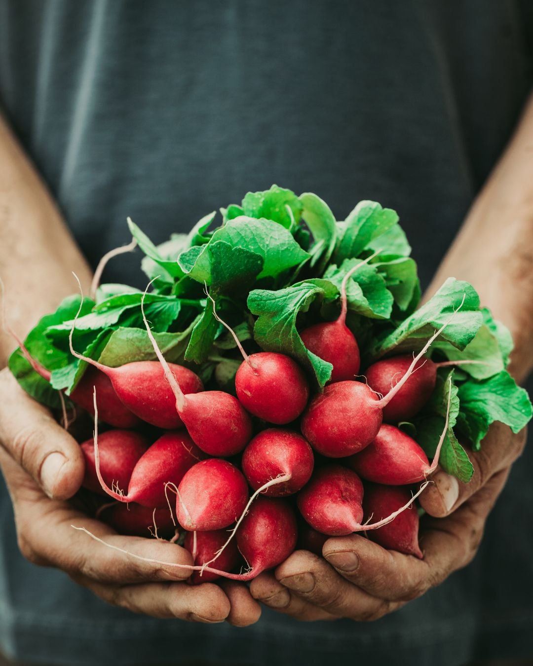 Explore Fertrell&rsquo;s most popular garden products and organic fertilizers trusted by growers nationwide.
👉 https://loom.ly/rWOOyEA